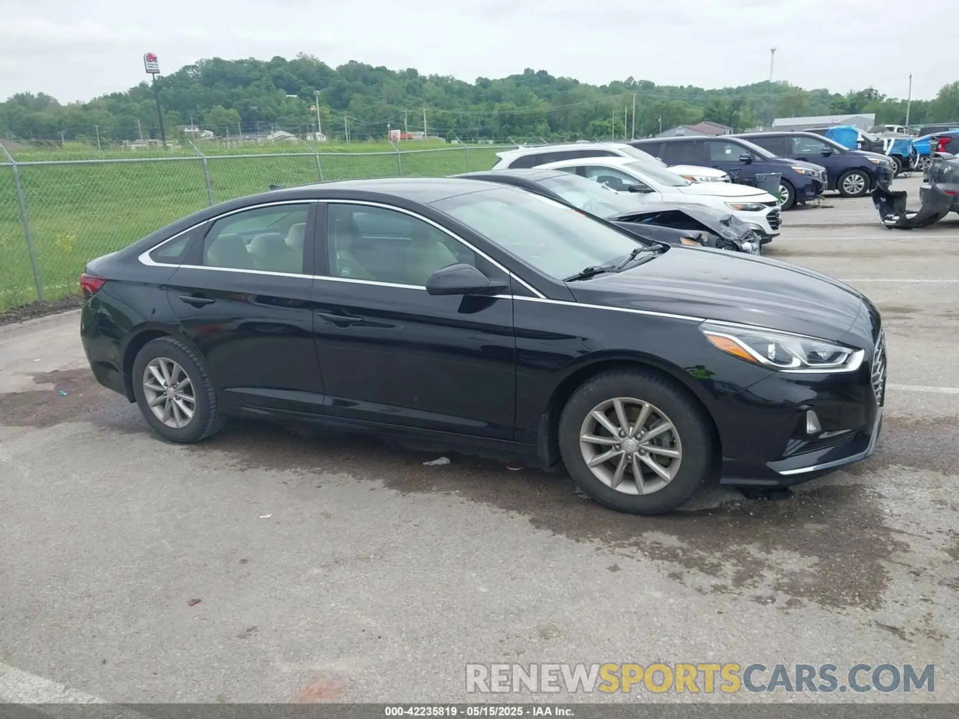 13 fotografías del automóvil dañado 5NPE24AF5KH805900 HYUNDAI SONATA 2019