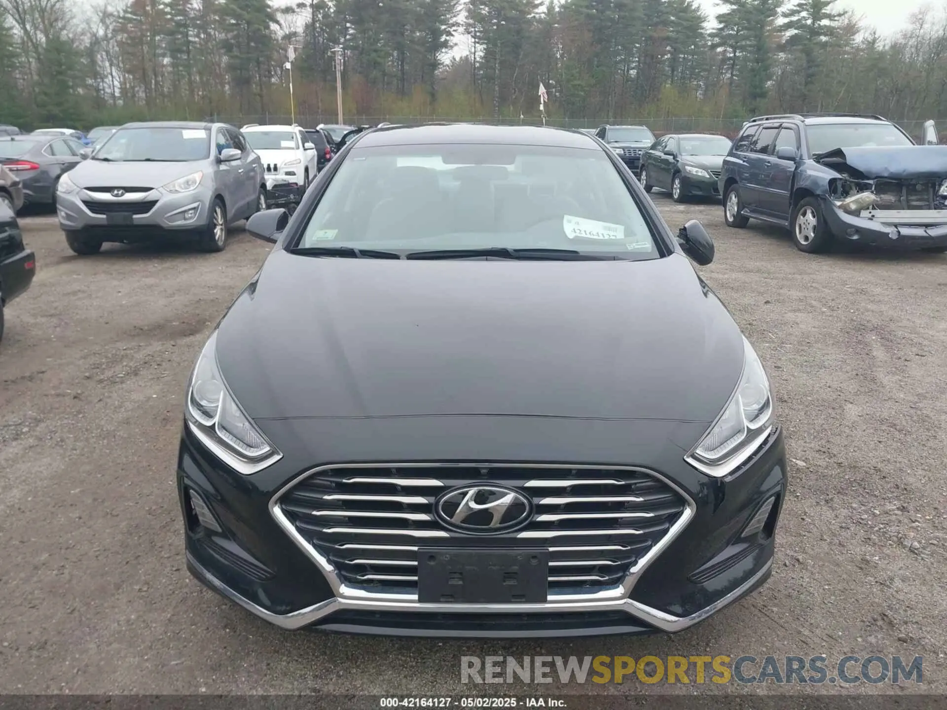 13 fotografías del automóvil dañado 5NPE24AF6KH726851 HYUNDAI SONATA 2019