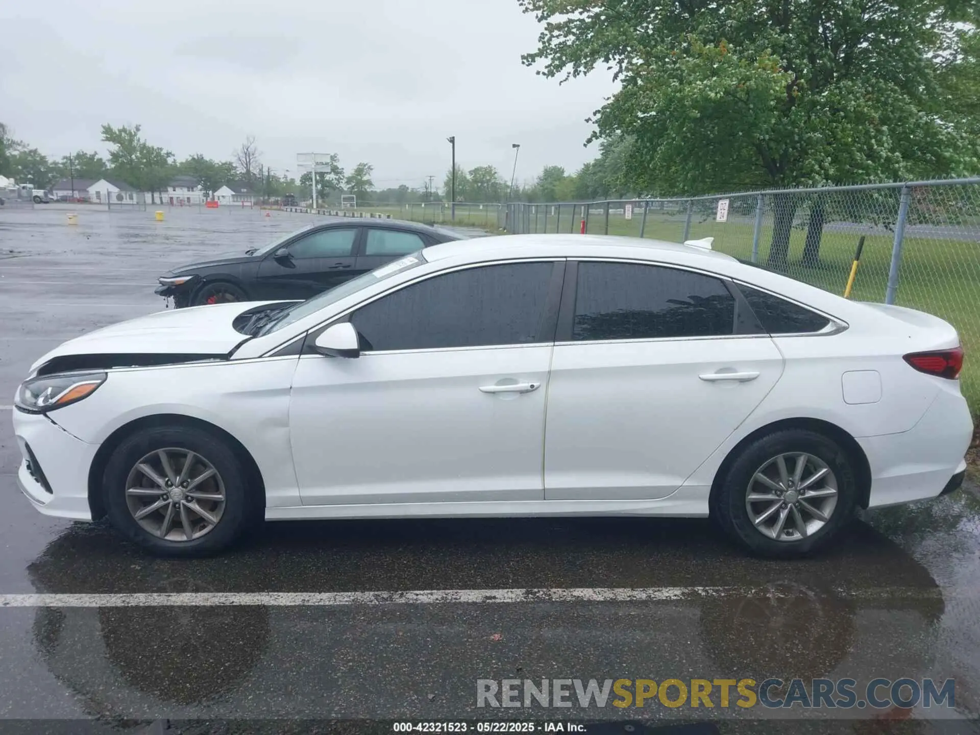 14 fotografías del automóvil dañado 5NPE24AF6KH741981 HYUNDAI SONATA 2019