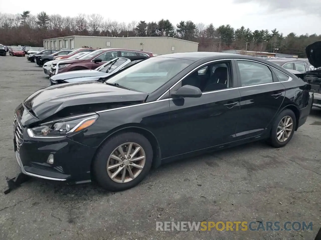 1 fotografías del automóvil dañado 5NPE24AF6KH760319 HYUNDAI SONATA 2019