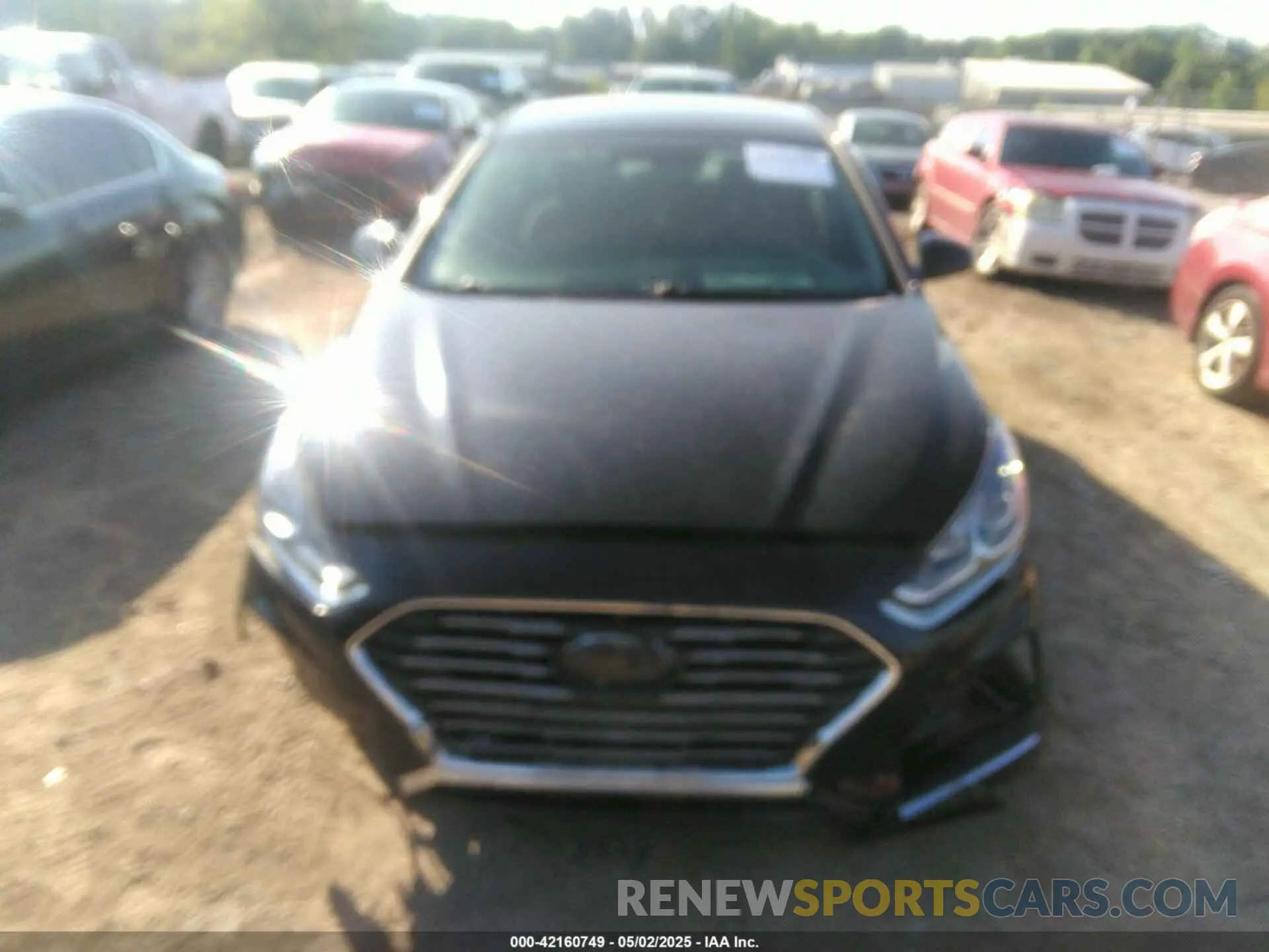 12 fotografías del automóvil dañado 5NPE24AF9KH749086 HYUNDAI SONATA 2019