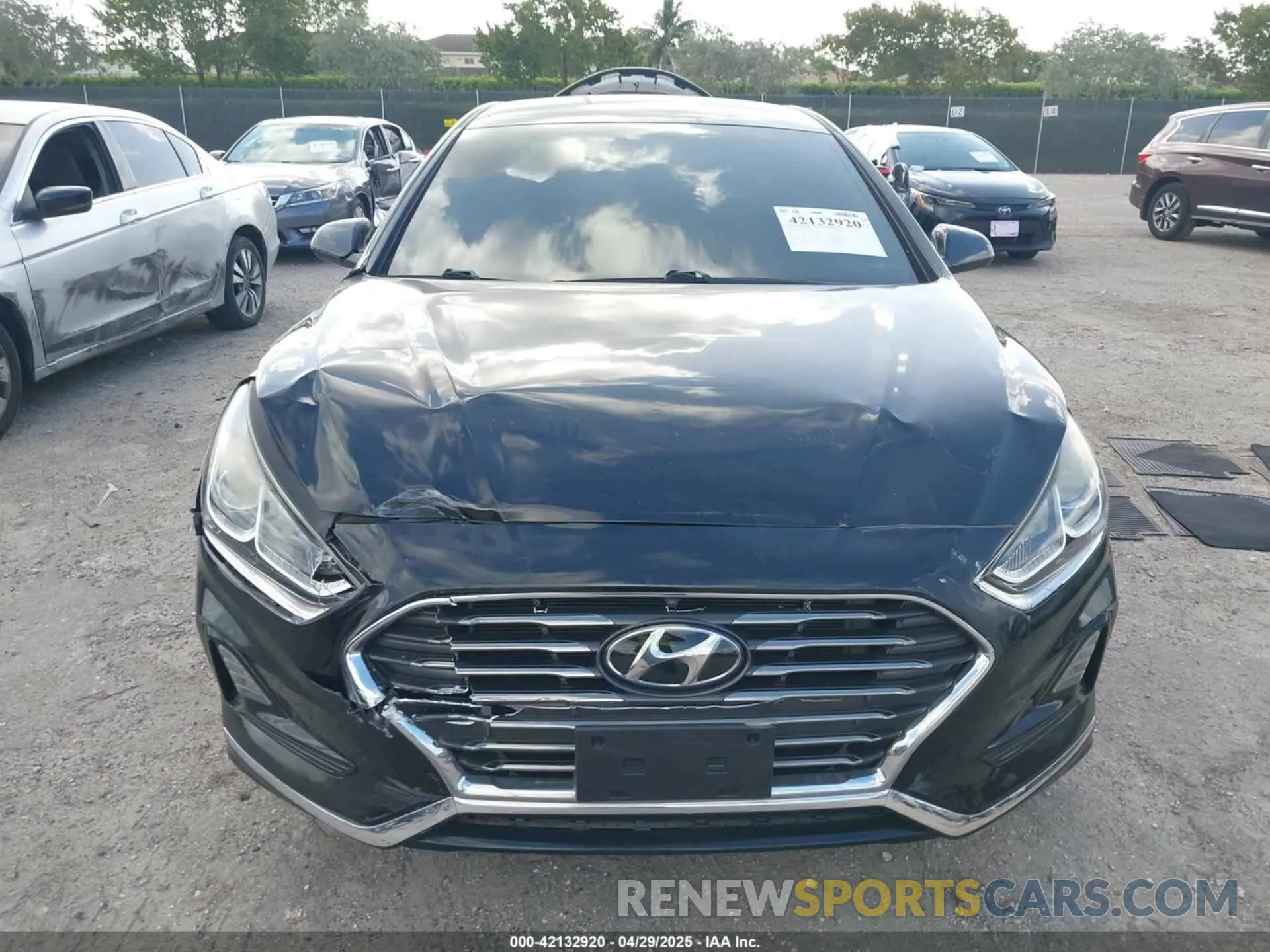 12 fotografías del automóvil dañado 5NPE24AFXKH754314 HYUNDAI SONATA 2019