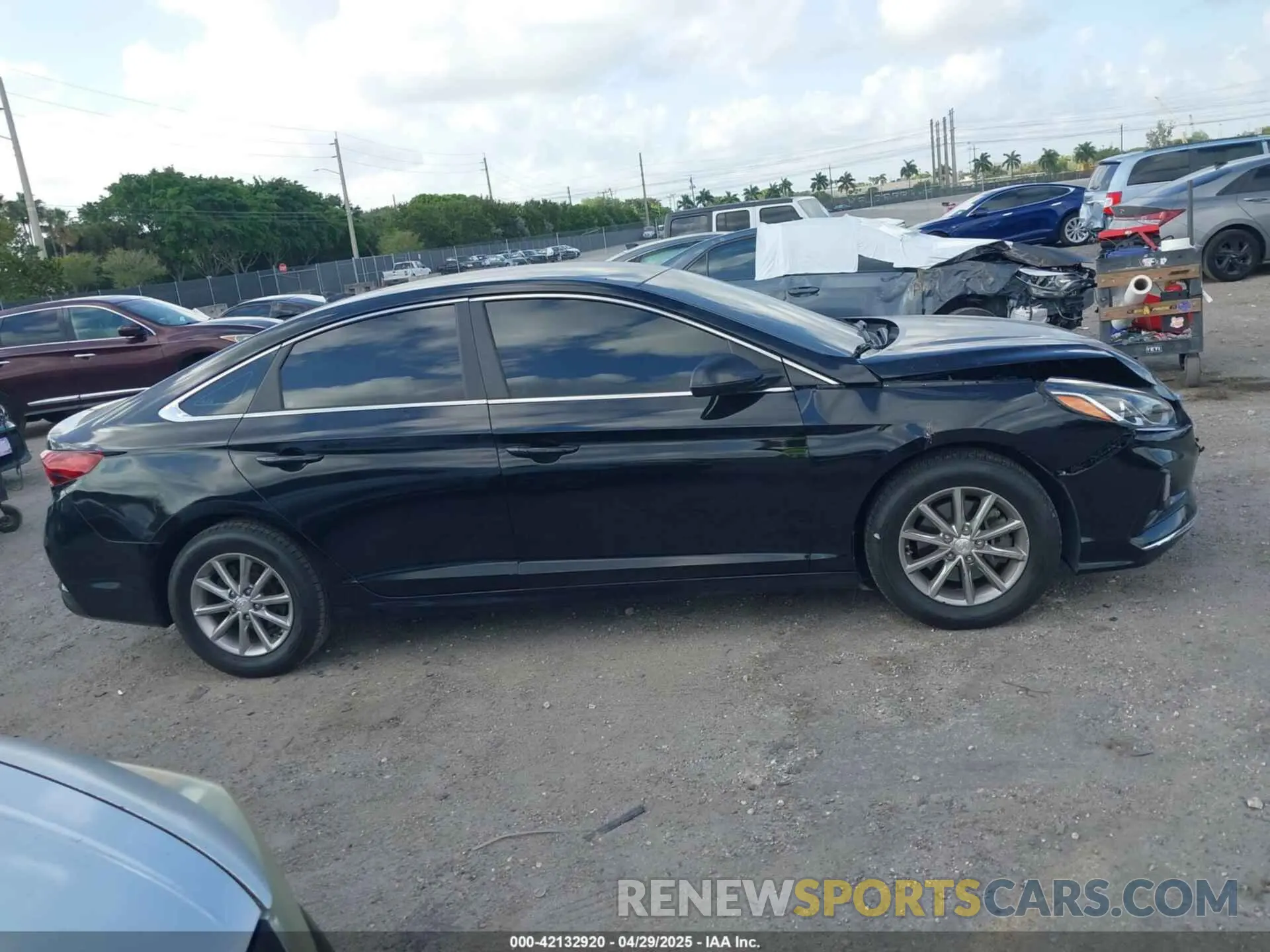 13 fotografías del automóvil dañado 5NPE24AFXKH754314 HYUNDAI SONATA 2019