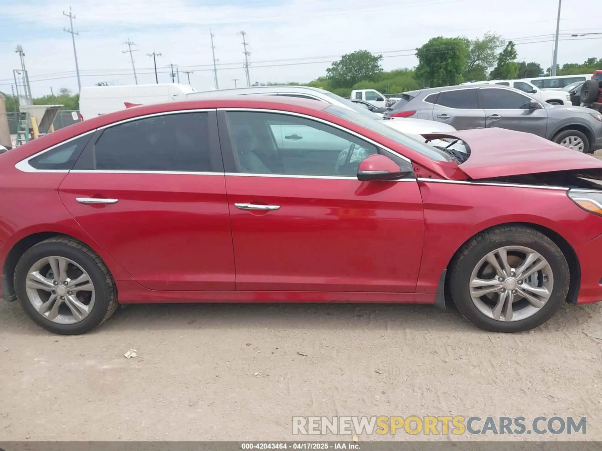 13 fotografías del automóvil dañado 5NPE34AF0KH766176 HYUNDAI SONATA 2019