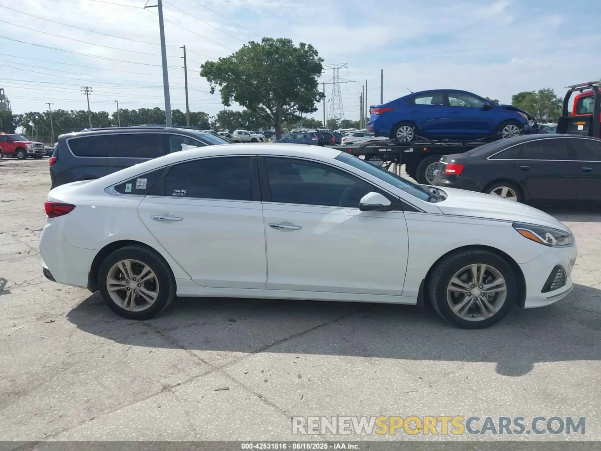 13 fotografías del automóvil dañado 5NPE34AF1KH802974 HYUNDAI SONATA 2019