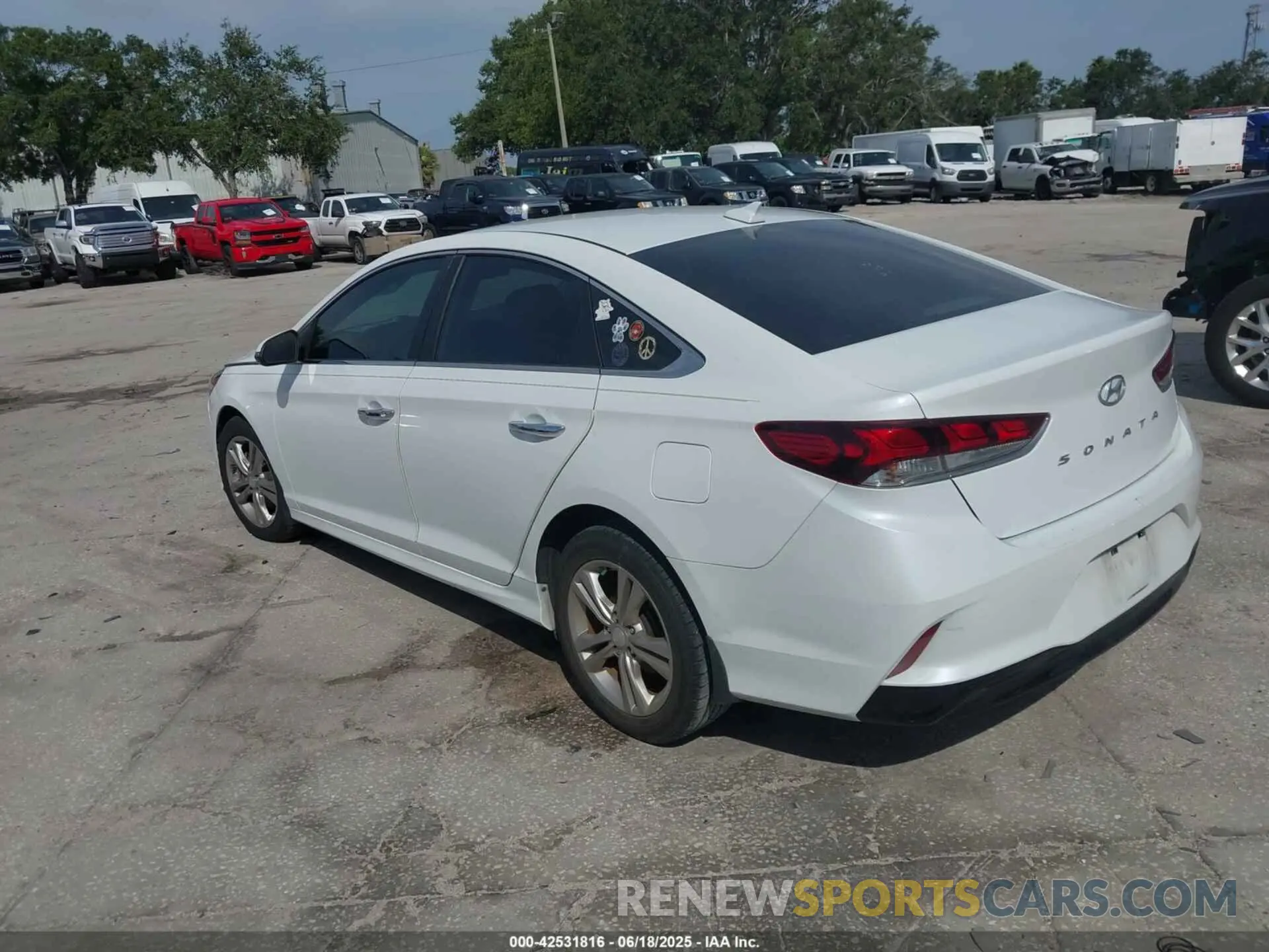 3 fotografías del automóvil dañado 5NPE34AF1KH802974 HYUNDAI SONATA 2019