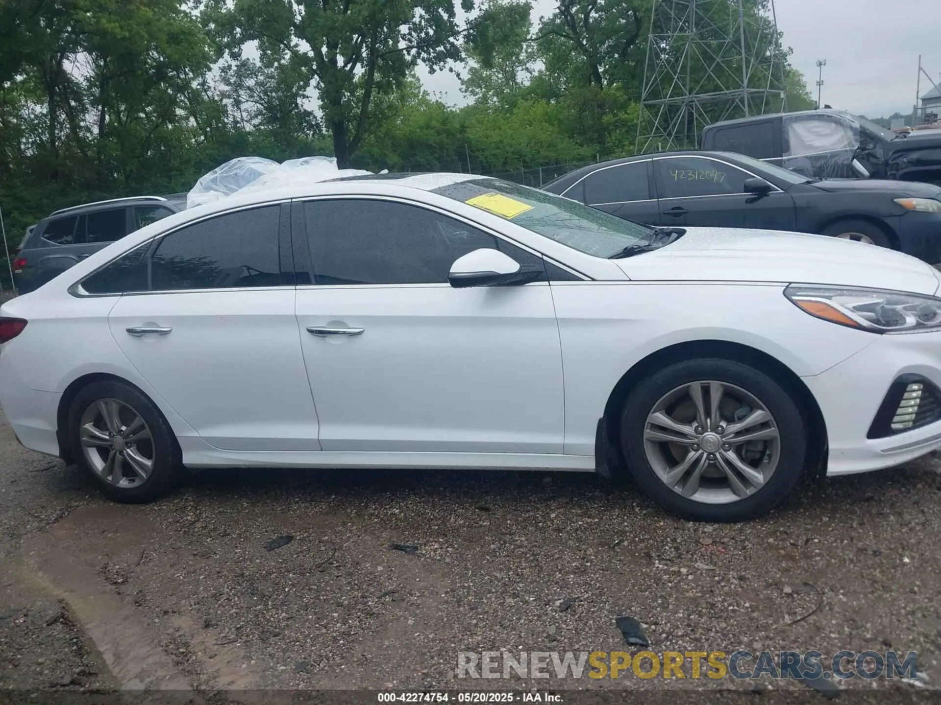 13 fotografías del automóvil dañado 5NPE34AF2KH733583 HYUNDAI SONATA 2019