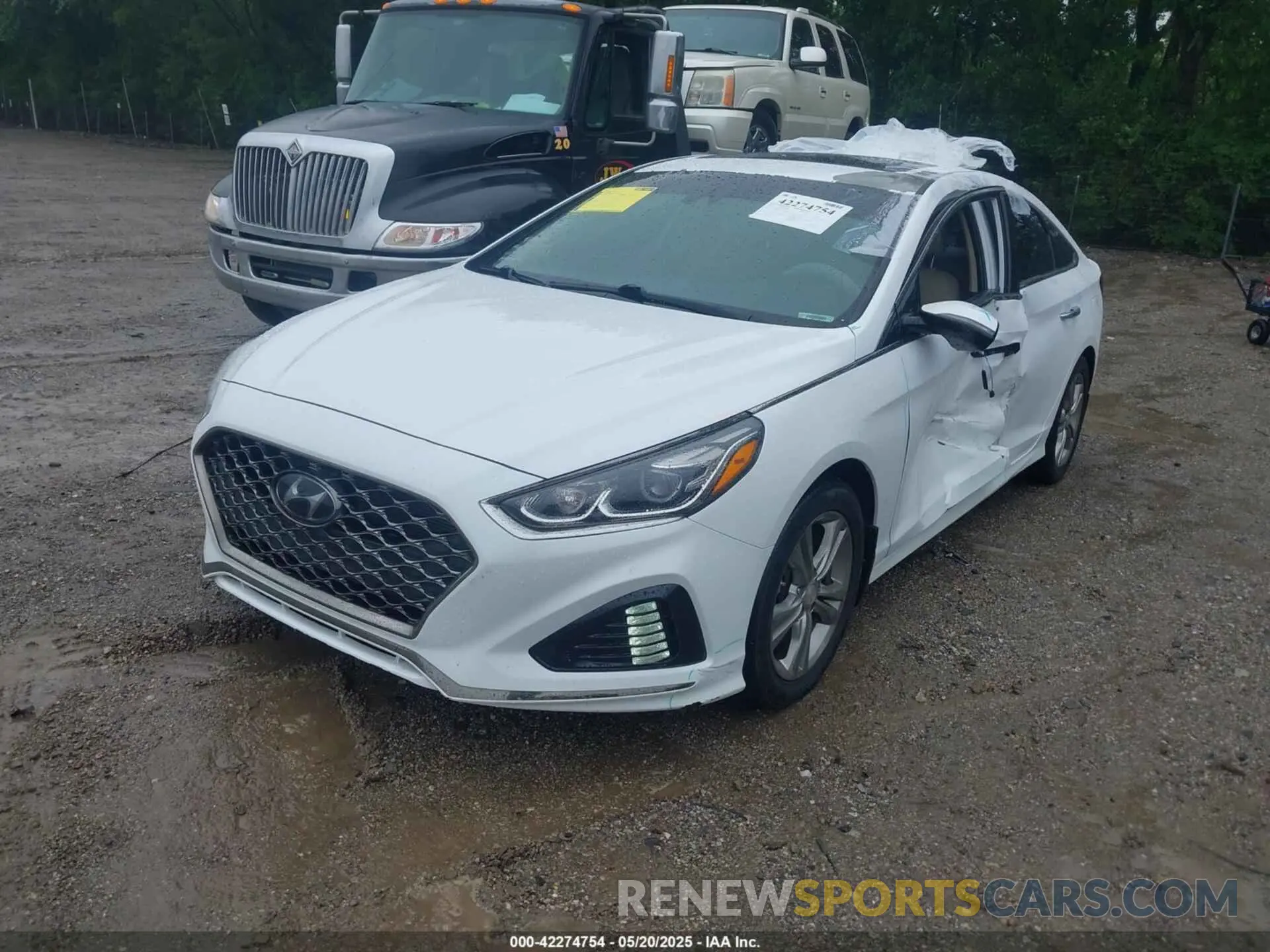 2 fotografías del automóvil dañado 5NPE34AF2KH733583 HYUNDAI SONATA 2019