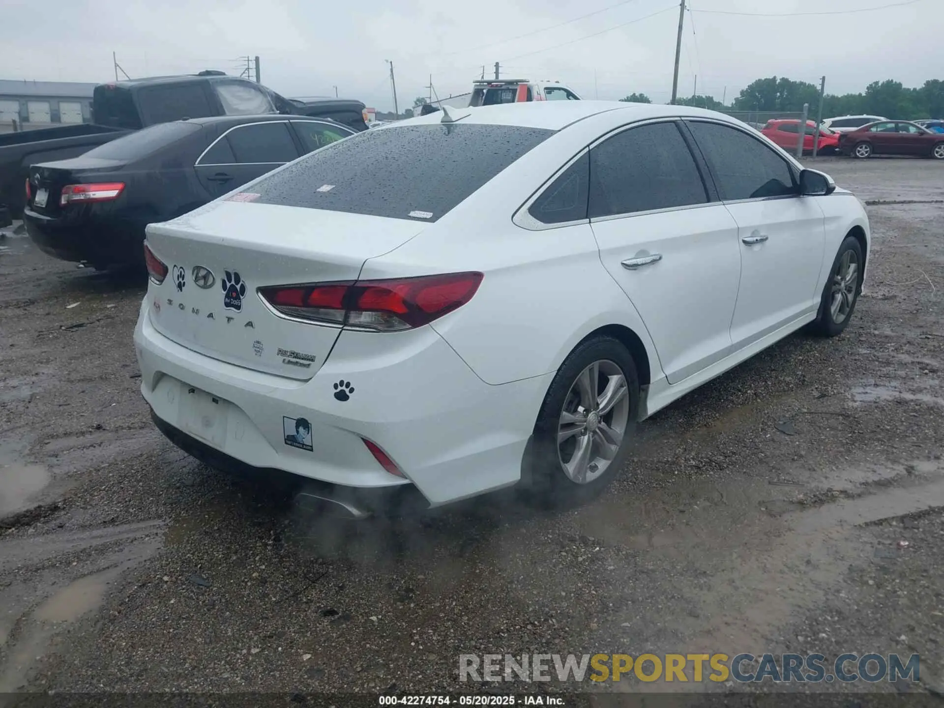 4 fotografías del automóvil dañado 5NPE34AF2KH733583 HYUNDAI SONATA 2019