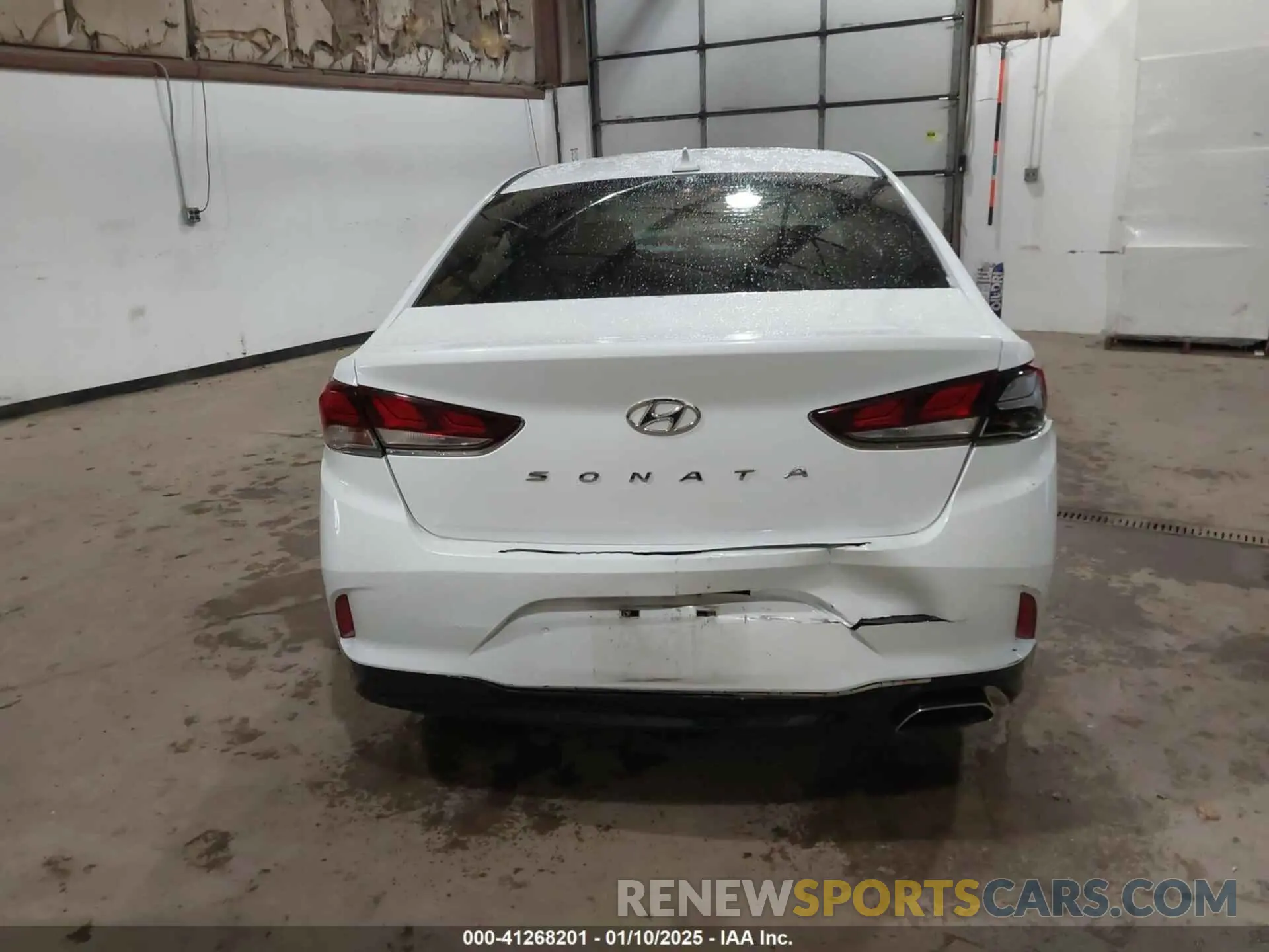 14 fotografías del automóvil dañado 5NPE34AF3KH736461 HYUNDAI SONATA 2019