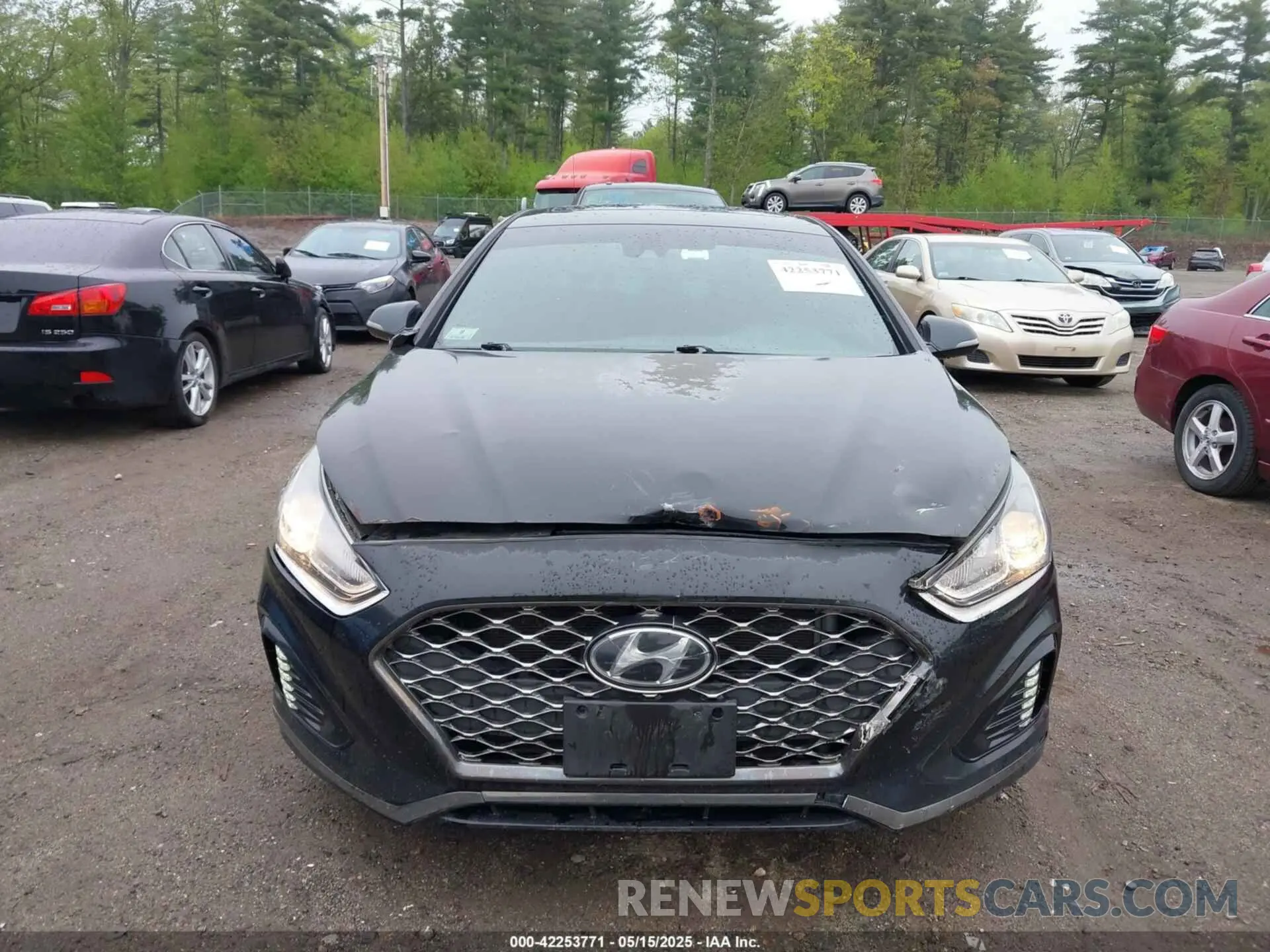 12 fotografías del automóvil dañado 5NPE34AF3KH791265 HYUNDAI SONATA 2019