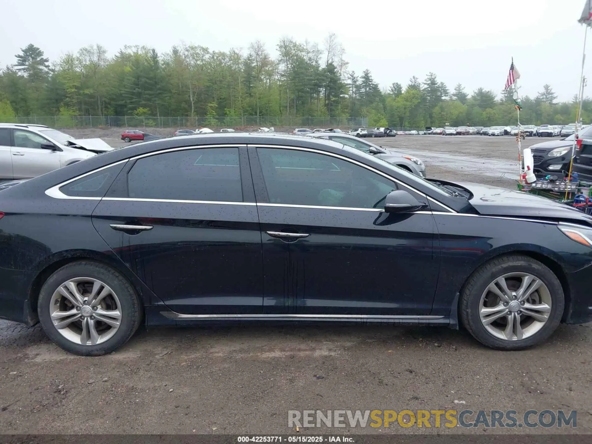 13 fotografías del automóvil dañado 5NPE34AF3KH791265 HYUNDAI SONATA 2019