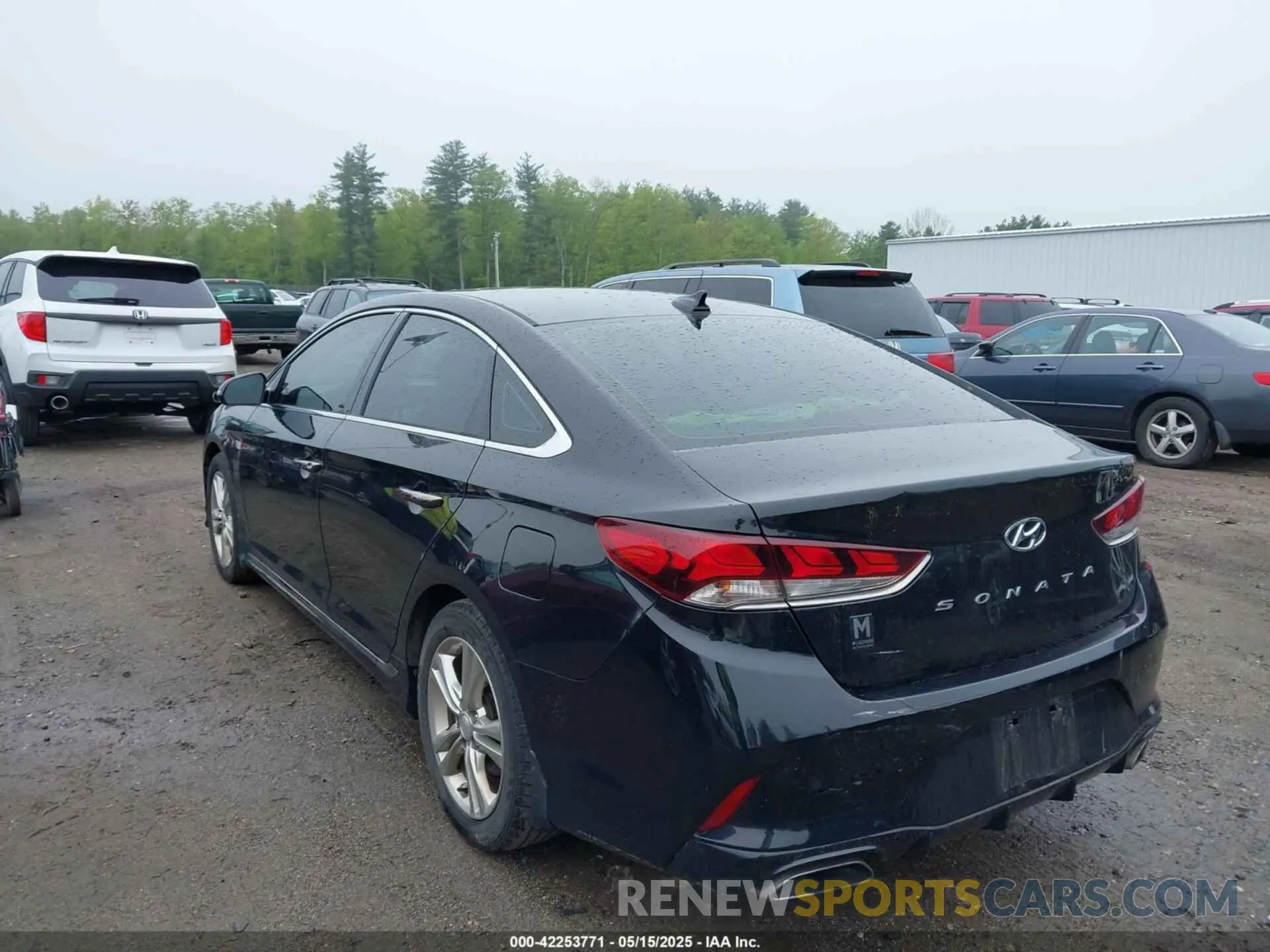 3 fotografías del automóvil dañado 5NPE34AF3KH791265 HYUNDAI SONATA 2019