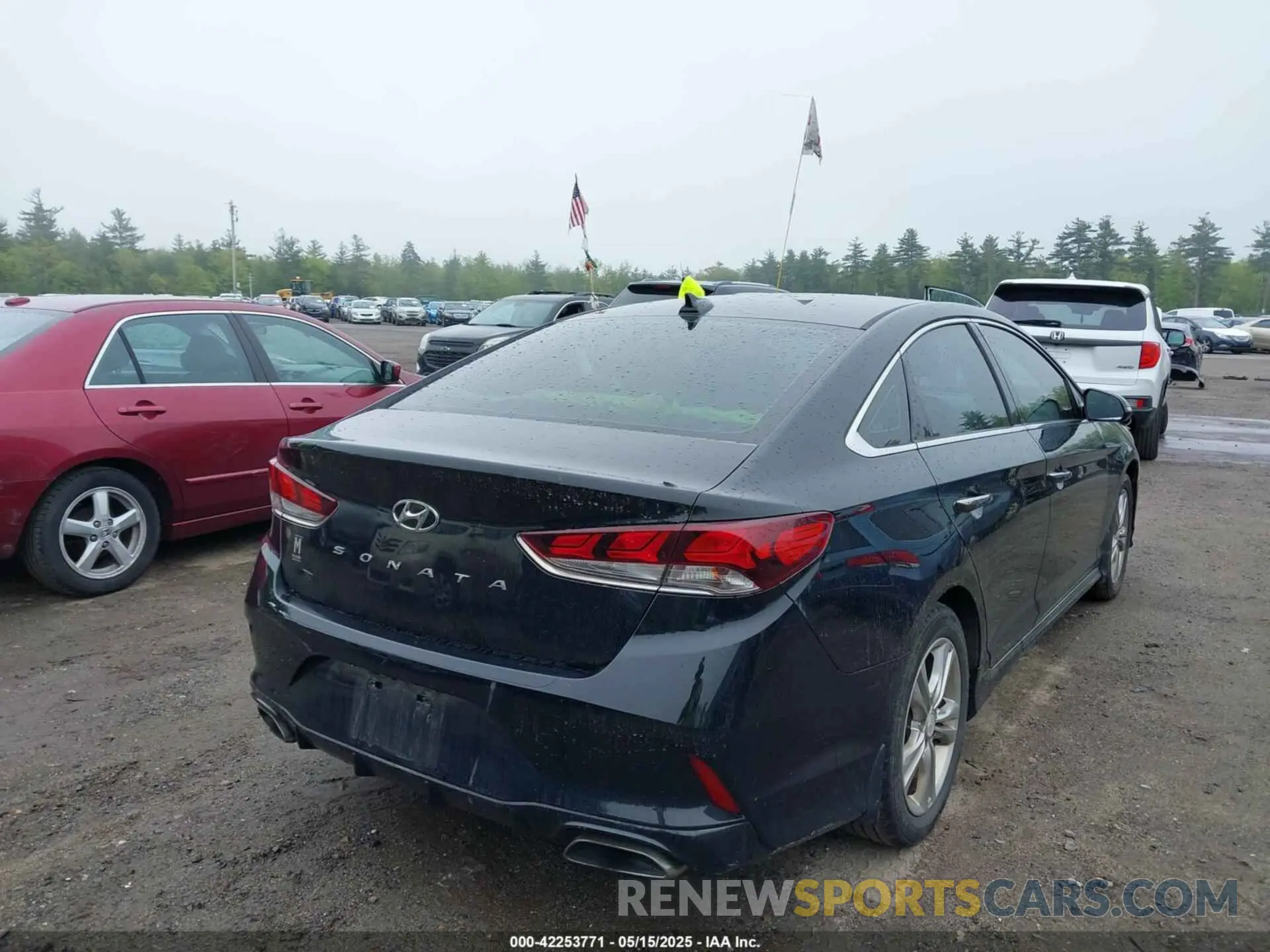 4 fotografías del automóvil dañado 5NPE34AF3KH791265 HYUNDAI SONATA 2019