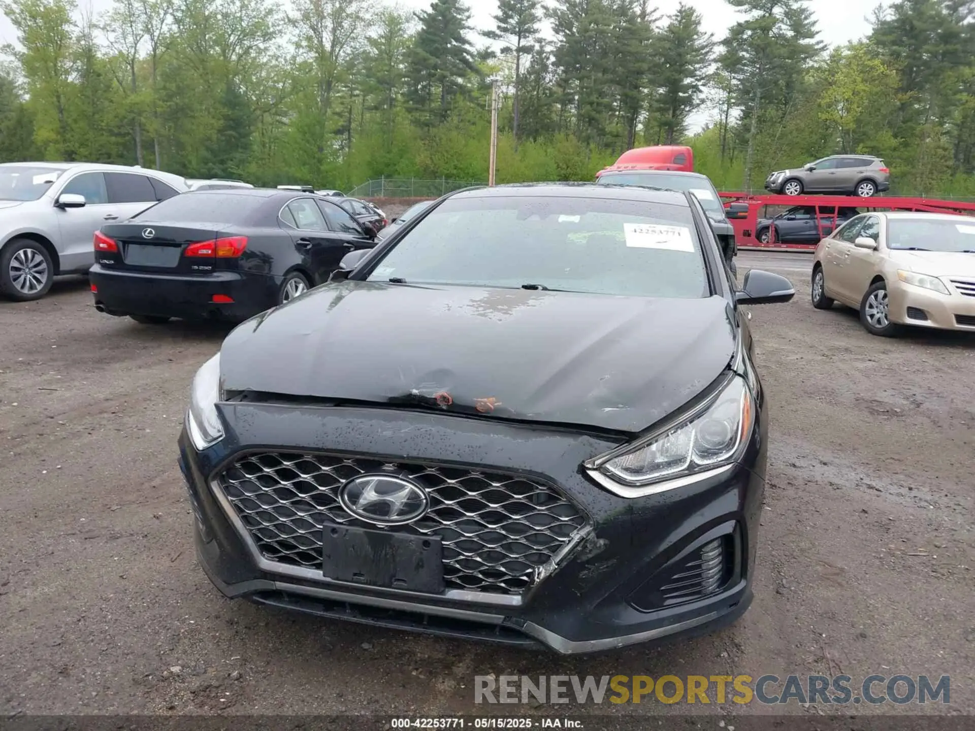 6 fotografías del automóvil dañado 5NPE34AF3KH791265 HYUNDAI SONATA 2019