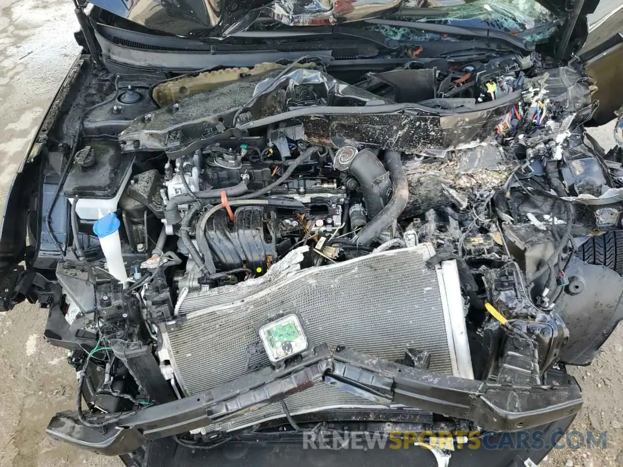 11 fotografías del automóvil dañado 5NPE34AF4KH776631 HYUNDAI SONATA 2019
