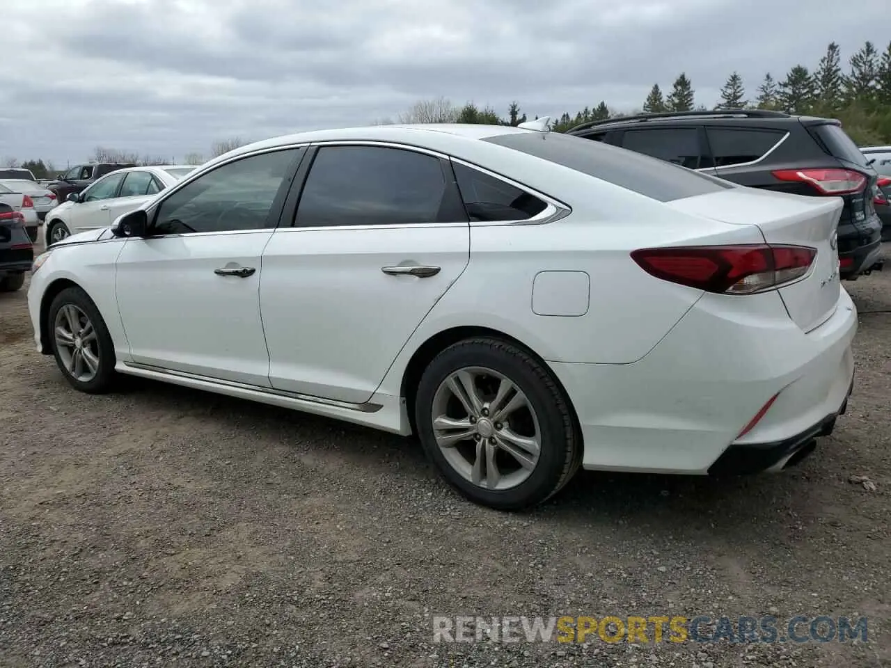 2 fotografías del automóvil dañado 5NPE34AF6KH747745 HYUNDAI SONATA 2019