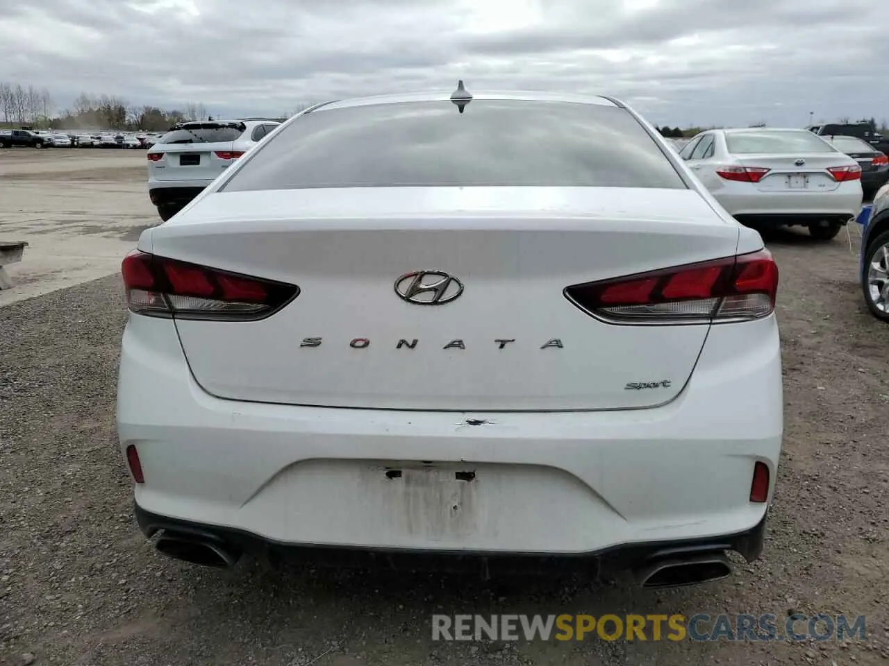 6 fotografías del automóvil dañado 5NPE34AF6KH747745 HYUNDAI SONATA 2019
