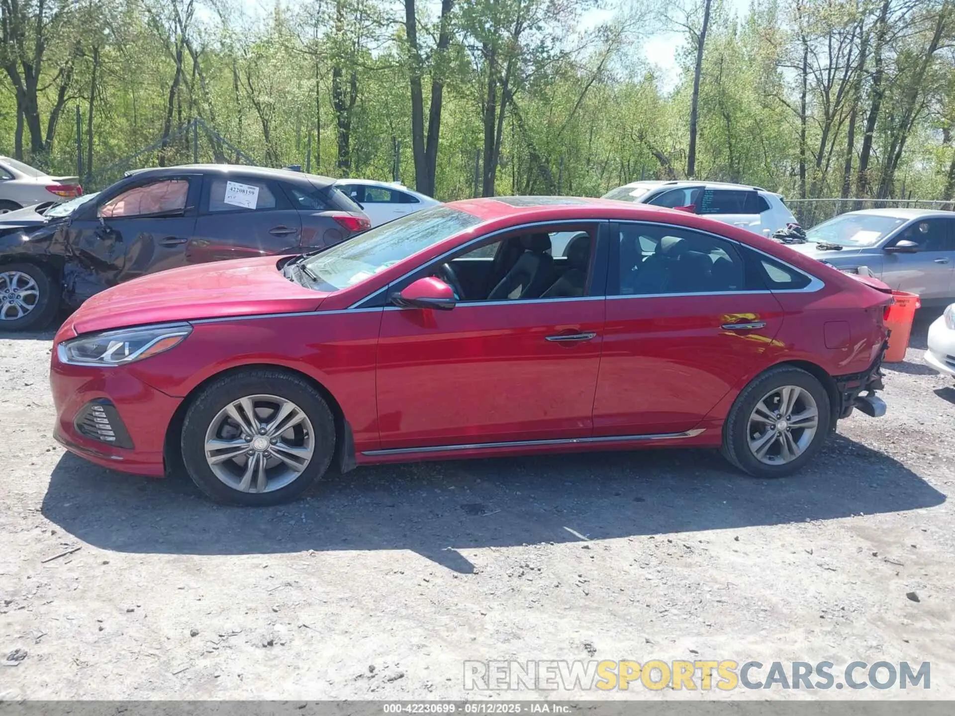 14 fotografías del automóvil dañado 5NPE34AF8KH733278 HYUNDAI SONATA 2019