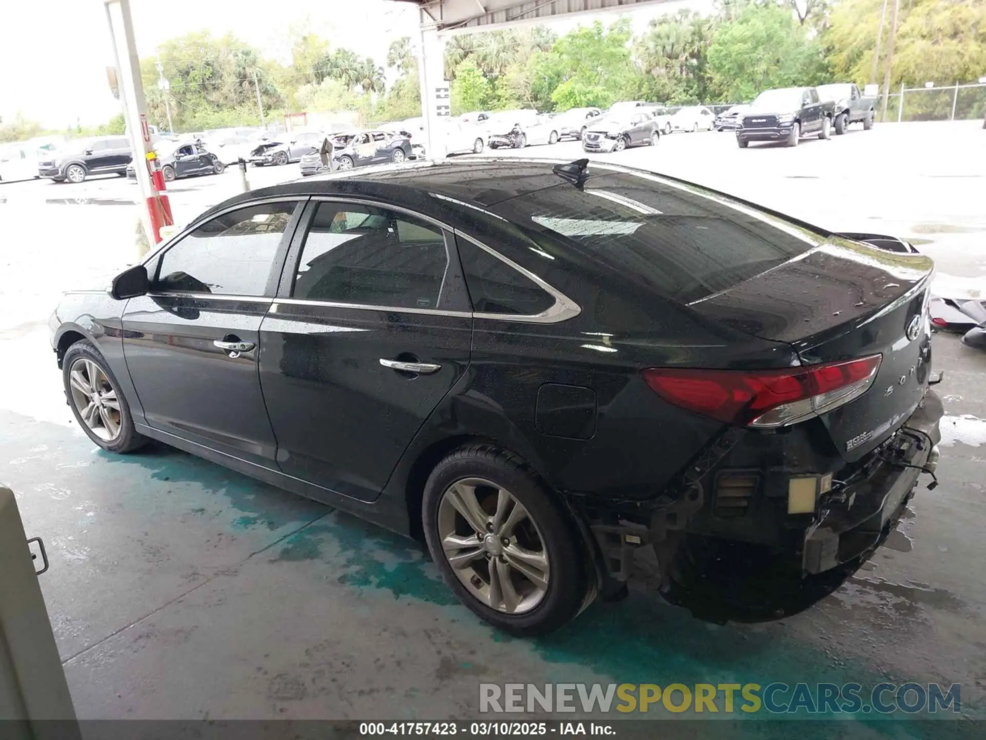 15 fotografías del automóvil dañado 5NPE34AF8KH768998 HYUNDAI SONATA 2019