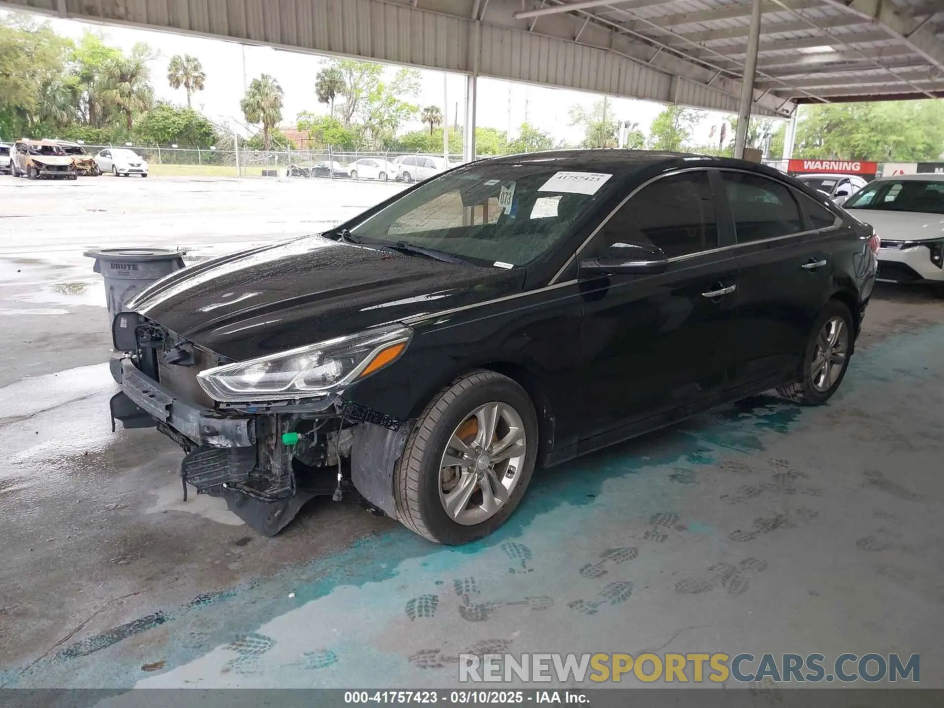 2 fotografías del automóvil dañado 5NPE34AF8KH768998 HYUNDAI SONATA 2019