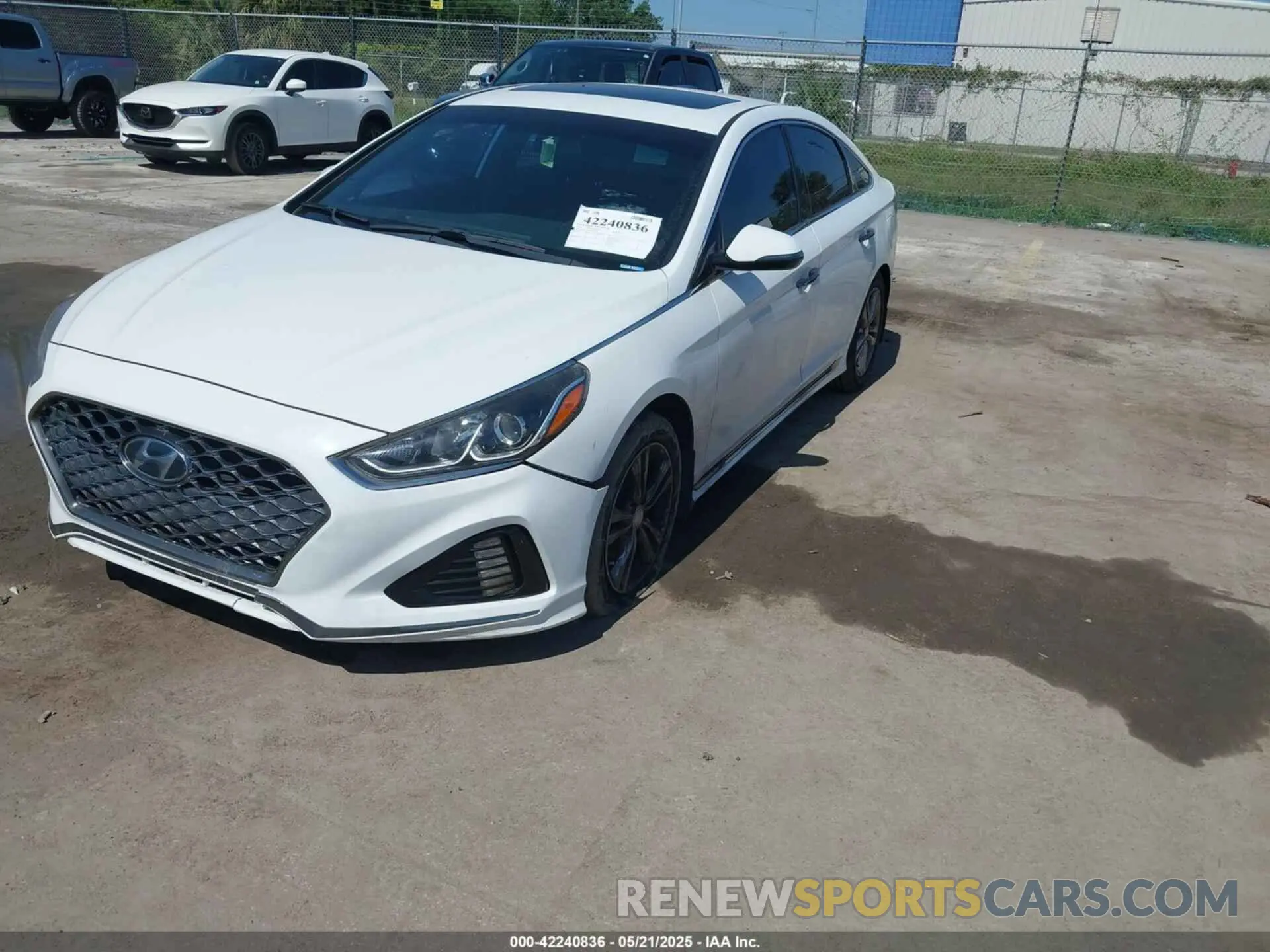 2 fotografías del automóvil dañado 5NPE34AFXKH774141 HYUNDAI SONATA 2019