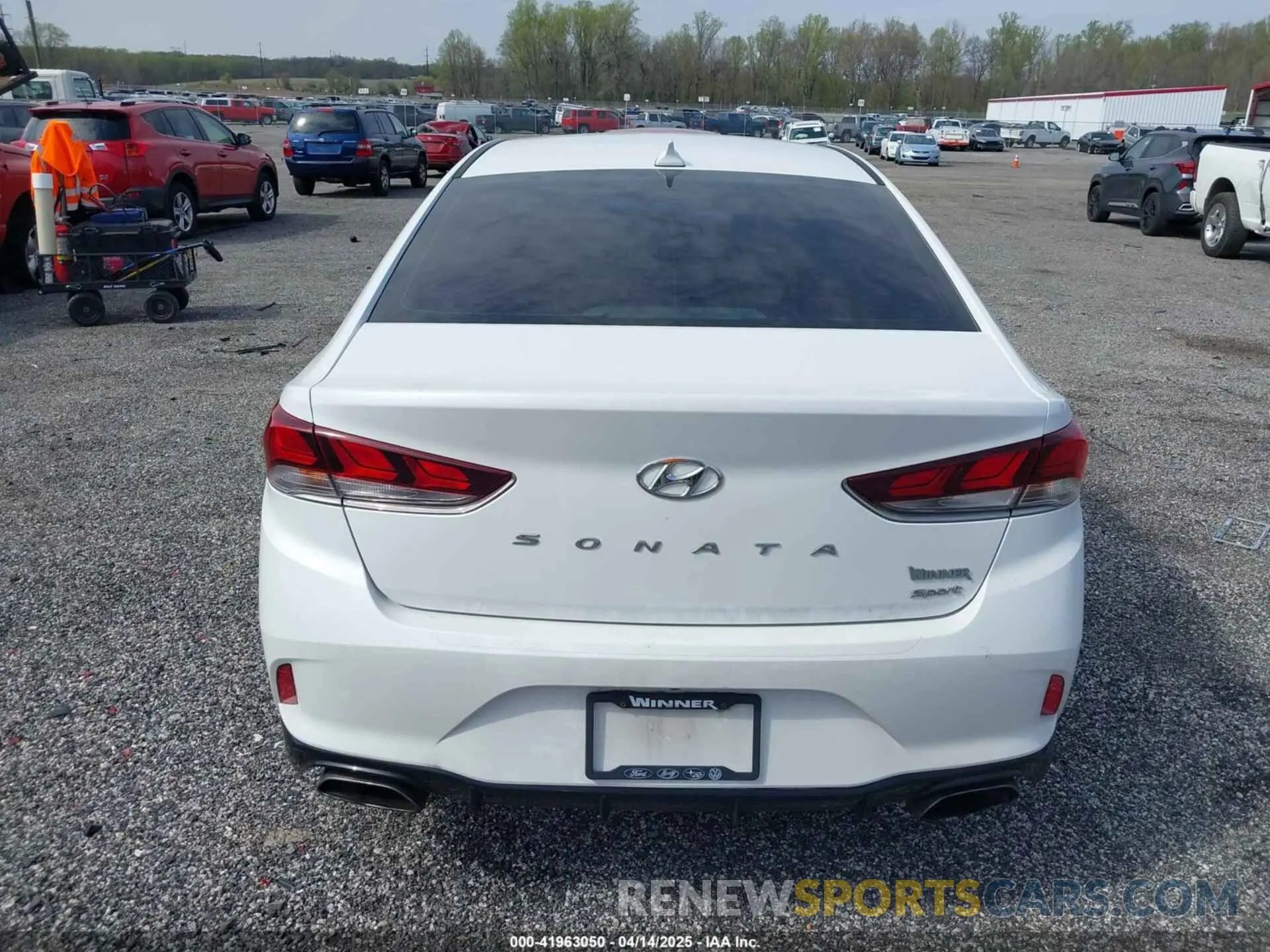 16 fotografías del automóvil dañado 5NPE34AFXKH803038 HYUNDAI SONATA 2019