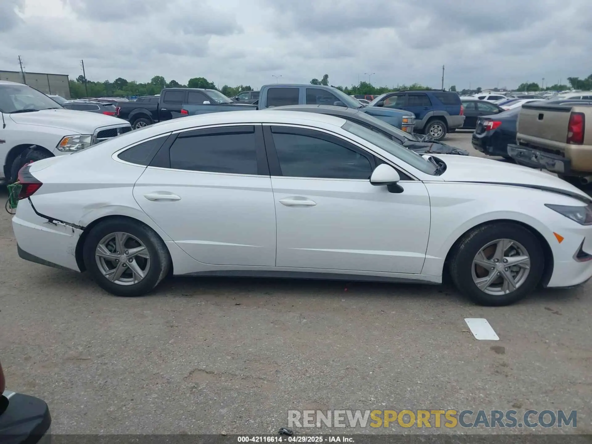 12 fotografías del automóvil dañado 5NPEG4JA6MH131152 HYUNDAI SONATA 2021