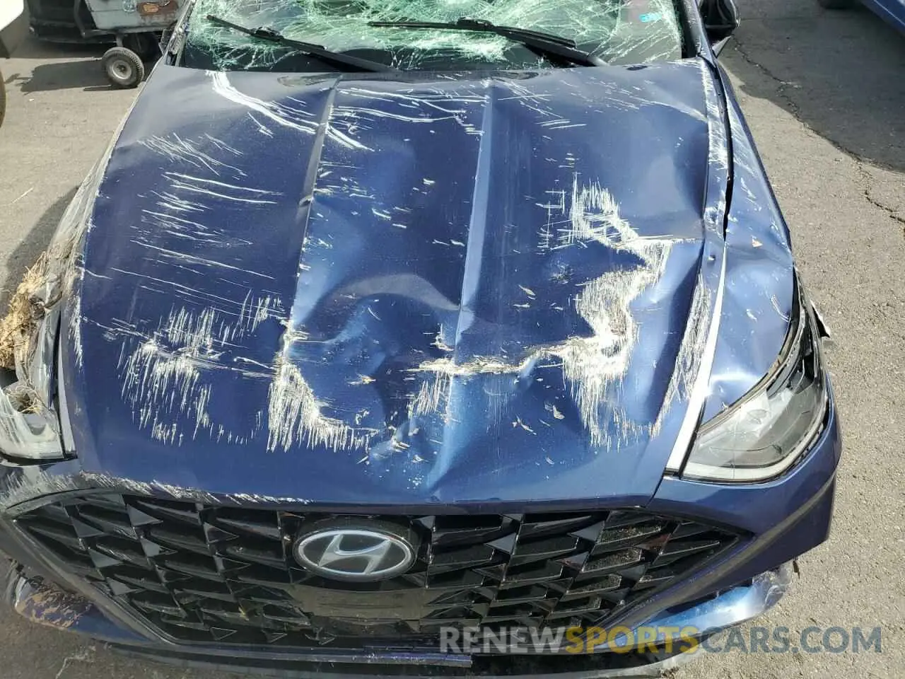 12 fotografías del automóvil dañado 5NPEJ4J24MH099022 HYUNDAI SONATA 2021