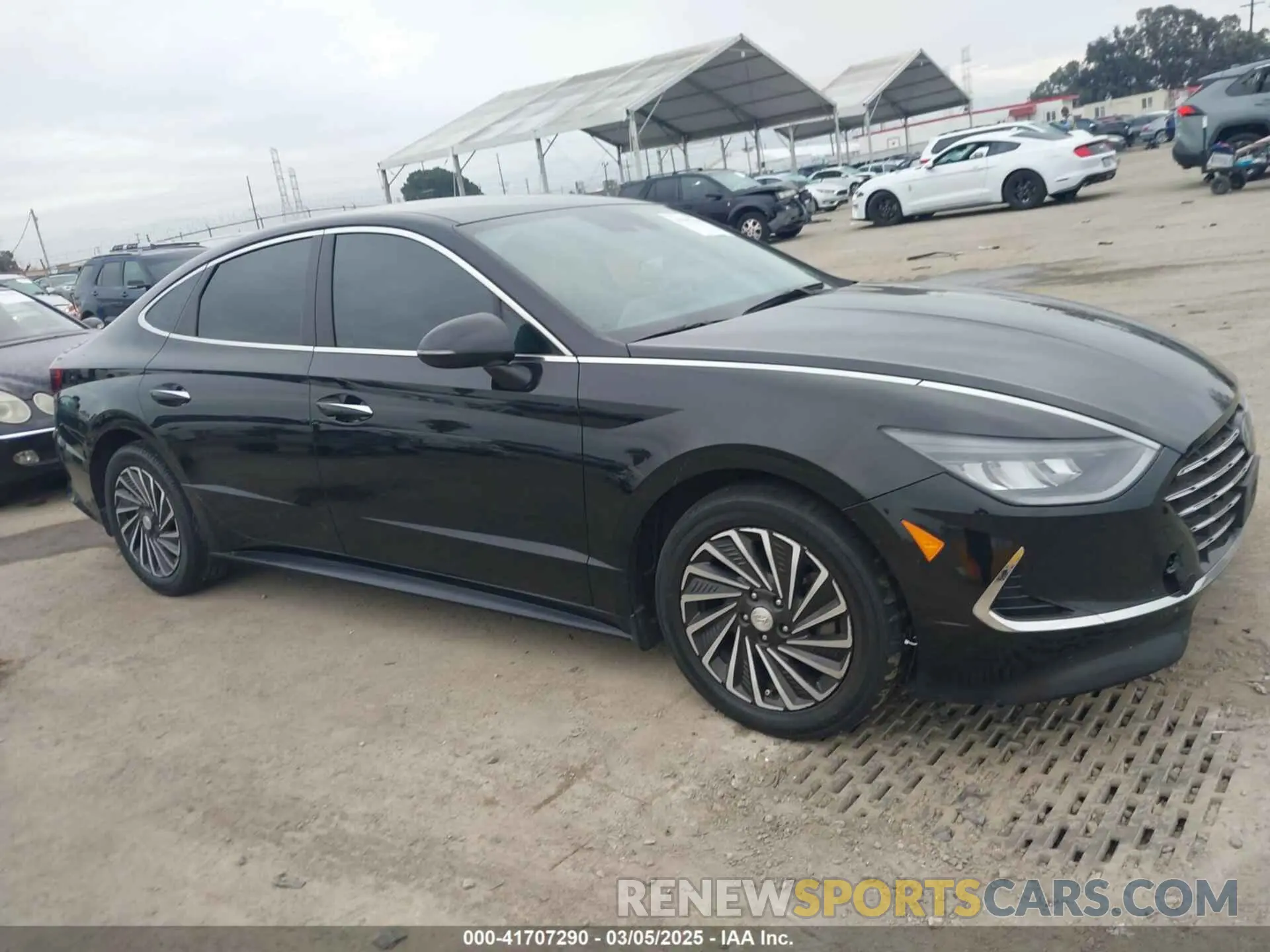 13 fotografías del automóvil dañado KMHL34JJ1MA024239 HYUNDAI SONATA 2021