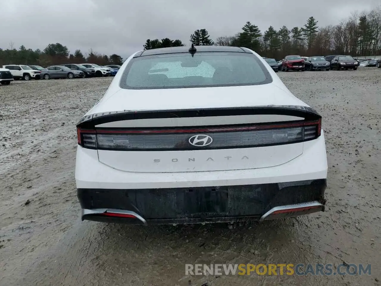 6 fotografías del automóvil dañado KMHL14JA0RA407134 HYUNDAI SONATA 2024