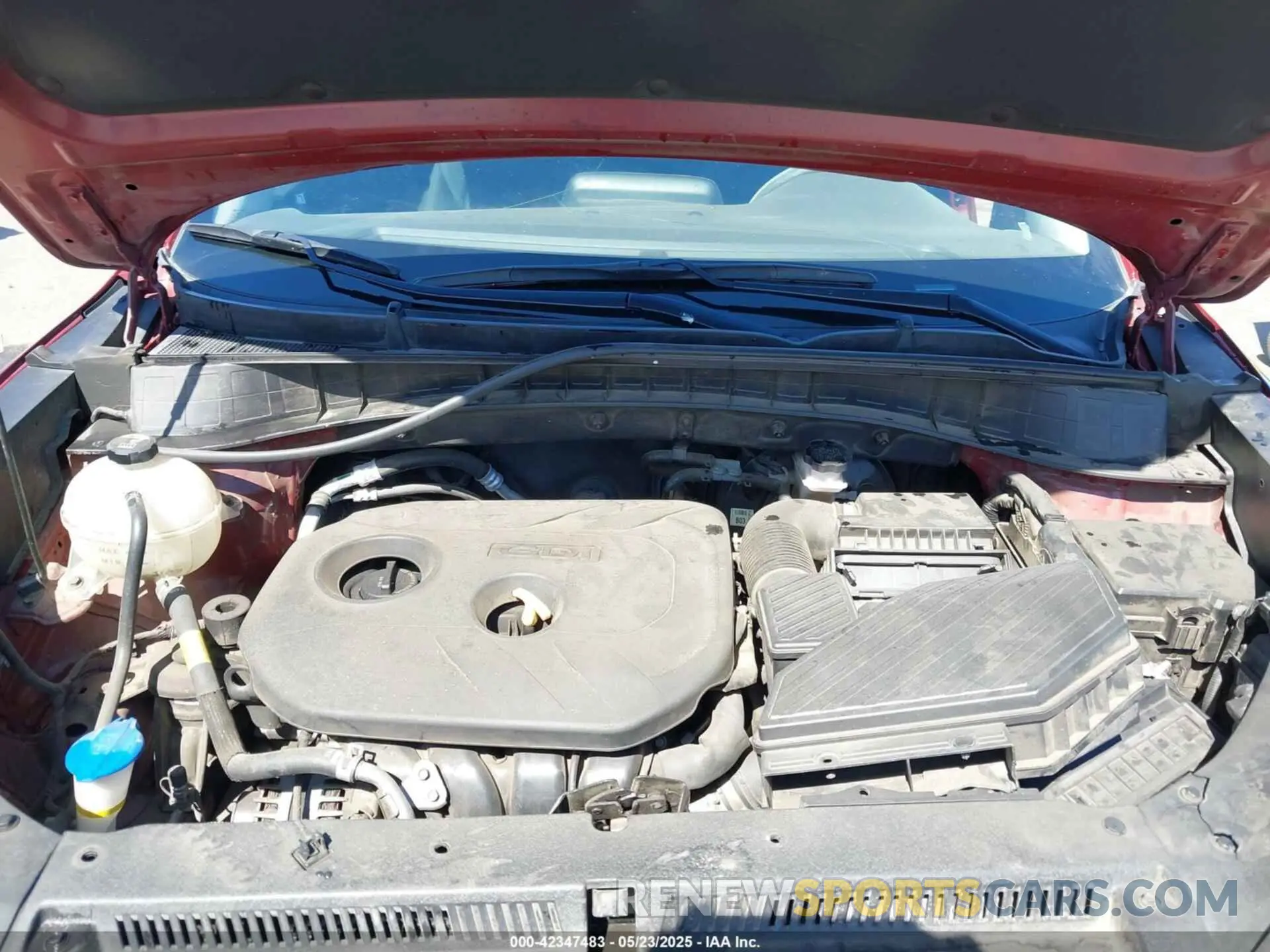 10 fotografías del automóvil dañado KM8J2CA41KU914007 HYUNDAI TUCSON 2019