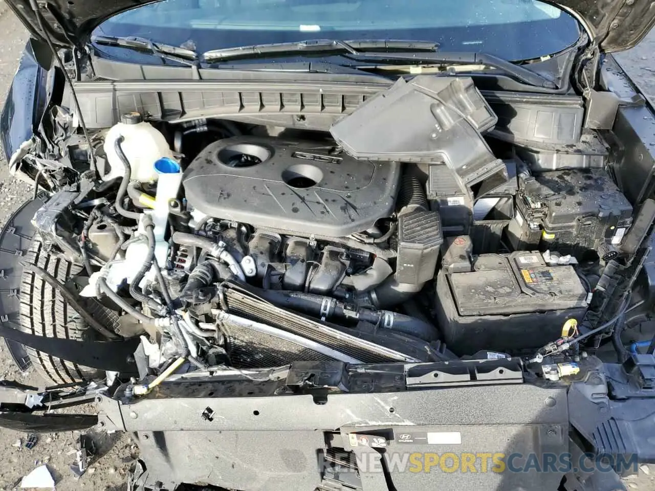 14 fotografías del automóvil dañado KM8J2CA44KU056788 HYUNDAI TUCSON 2019