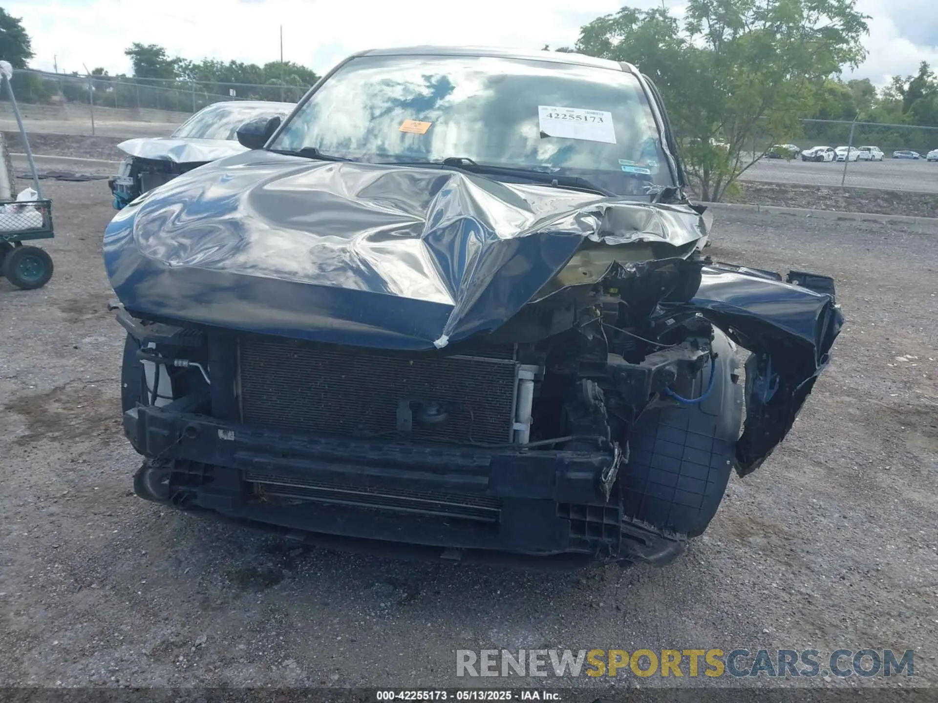 12 fotografías del automóvil dañado KM8J2CA45KU971276 HYUNDAI TUCSON 2019