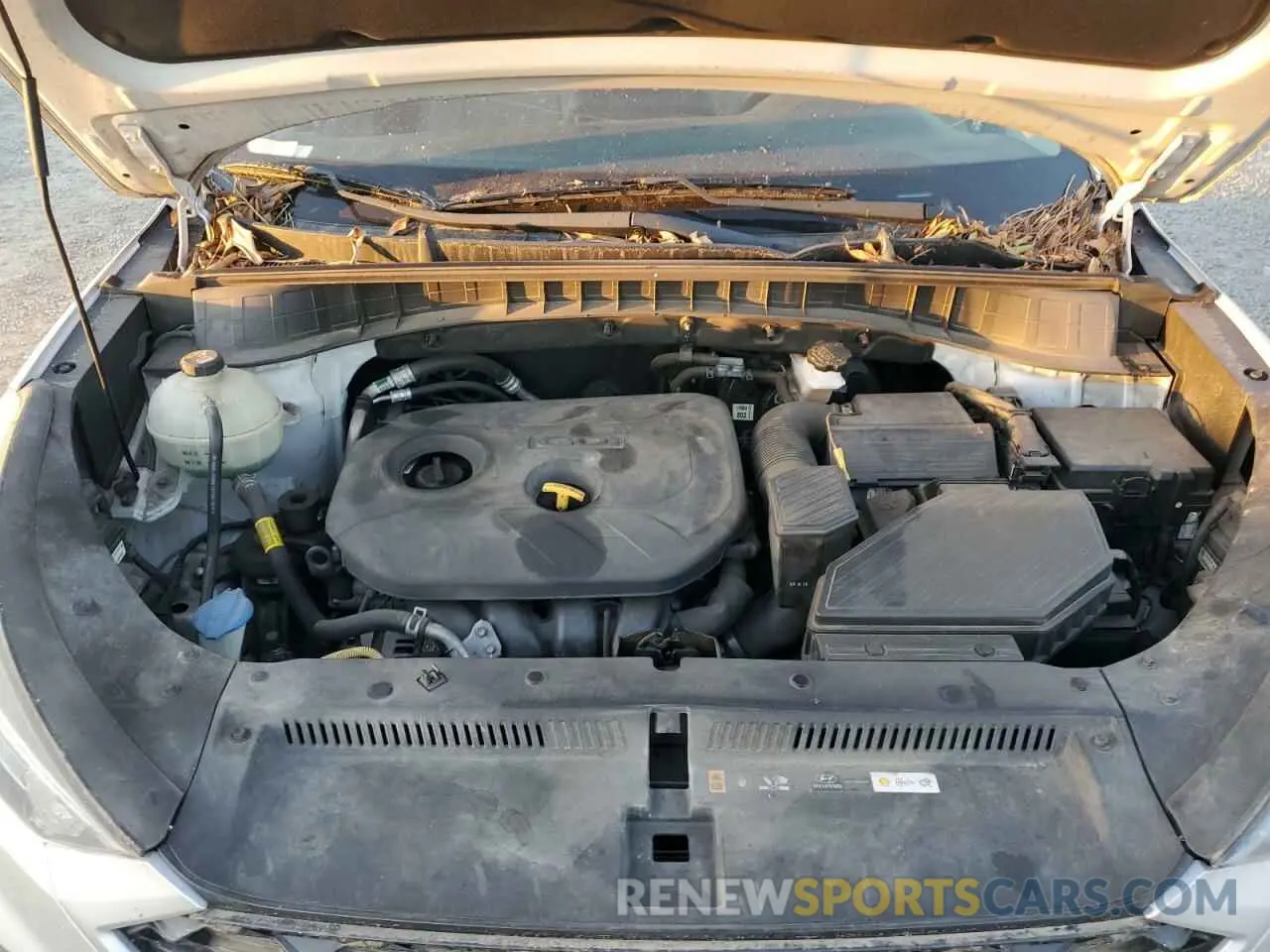12 fotografías del automóvil dañado KM8J2CA49KU886067 HYUNDAI TUCSON 2019
