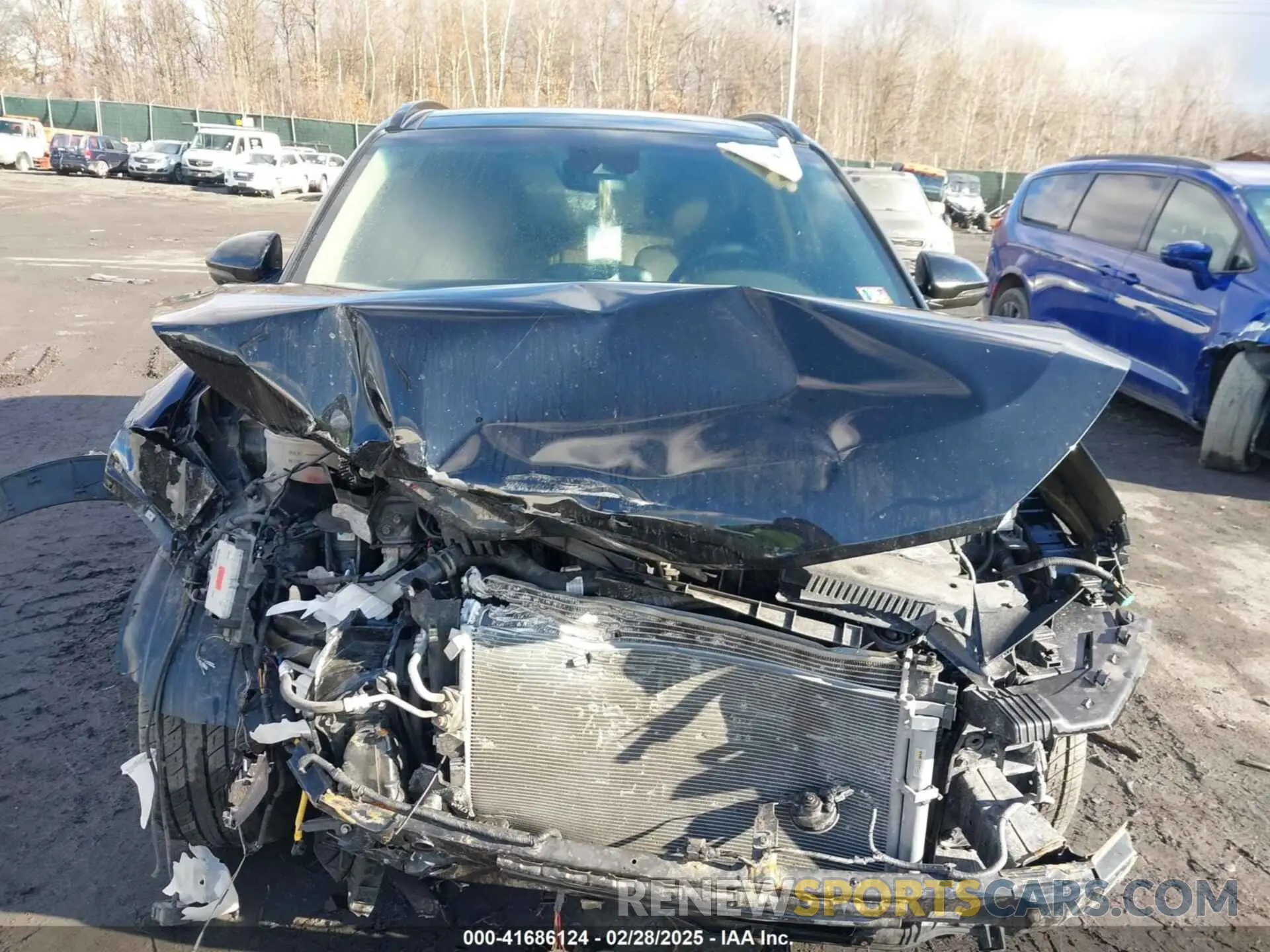 12 fotografías del automóvil dañado KM8J3CAL5KU055248 HYUNDAI TUCSON 2019
