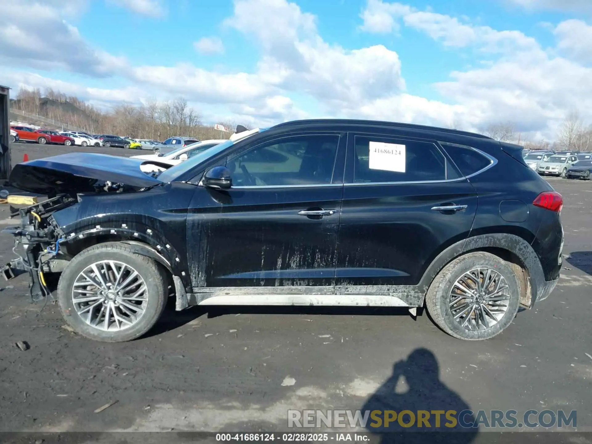 14 fotografías del automóvil dañado KM8J3CAL5KU055248 HYUNDAI TUCSON 2019