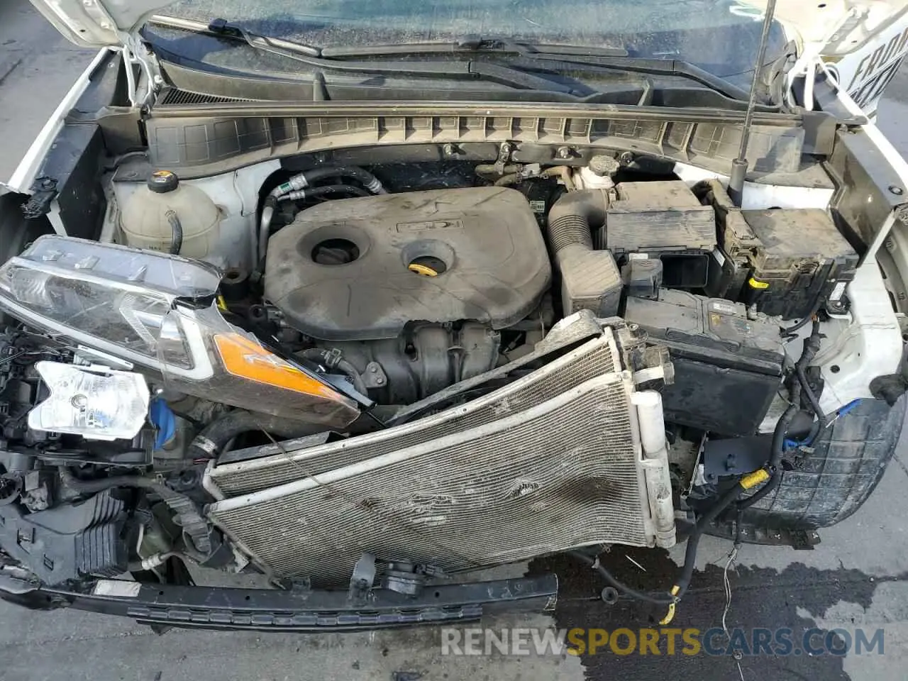 14 fotografías del automóvil dañado KM8J2CA46LU225789 HYUNDAI TUCSON 2020