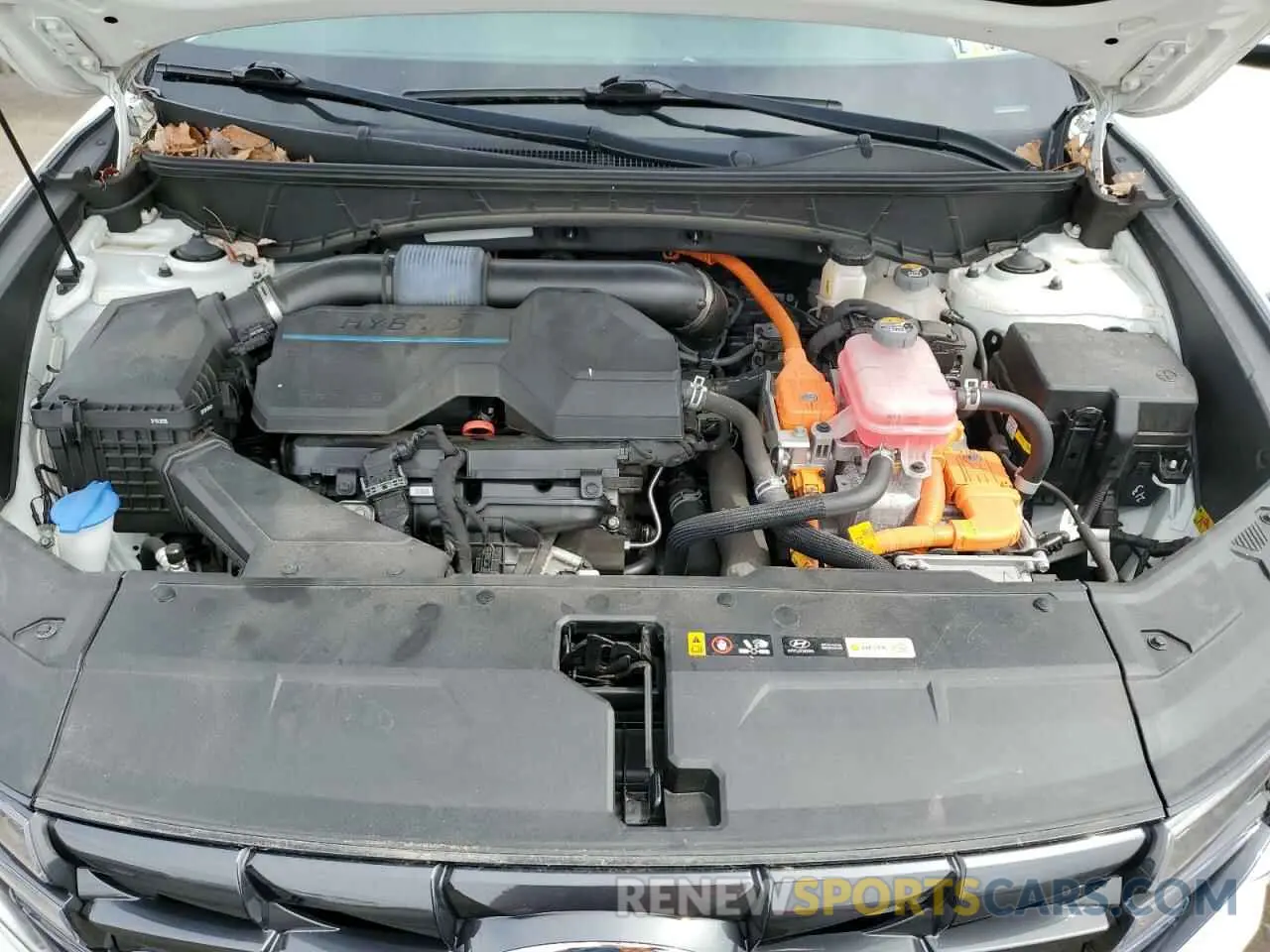 12 fotografías del automóvil dañado KM8JBCA18NU010925 HYUNDAI TUCSON 2022