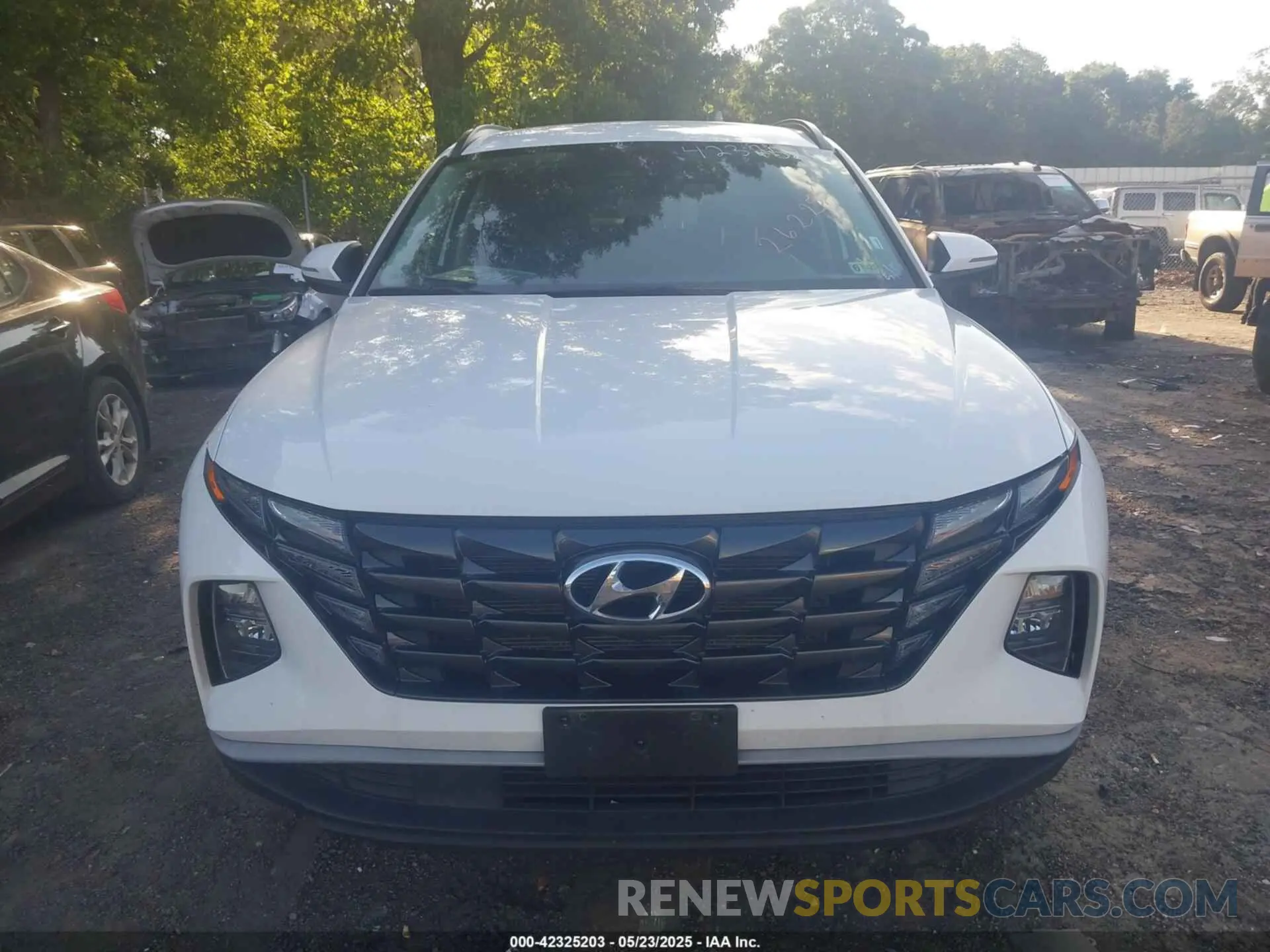 12 fotografías del automóvil dañado 5NMJBCAE8PH262255 HYUNDAI TUCSON 2023