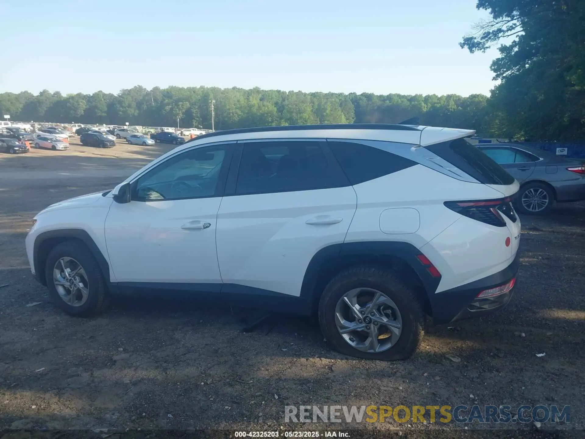 14 fotografías del automóvil dañado 5NMJBCAE8PH262255 HYUNDAI TUCSON 2023