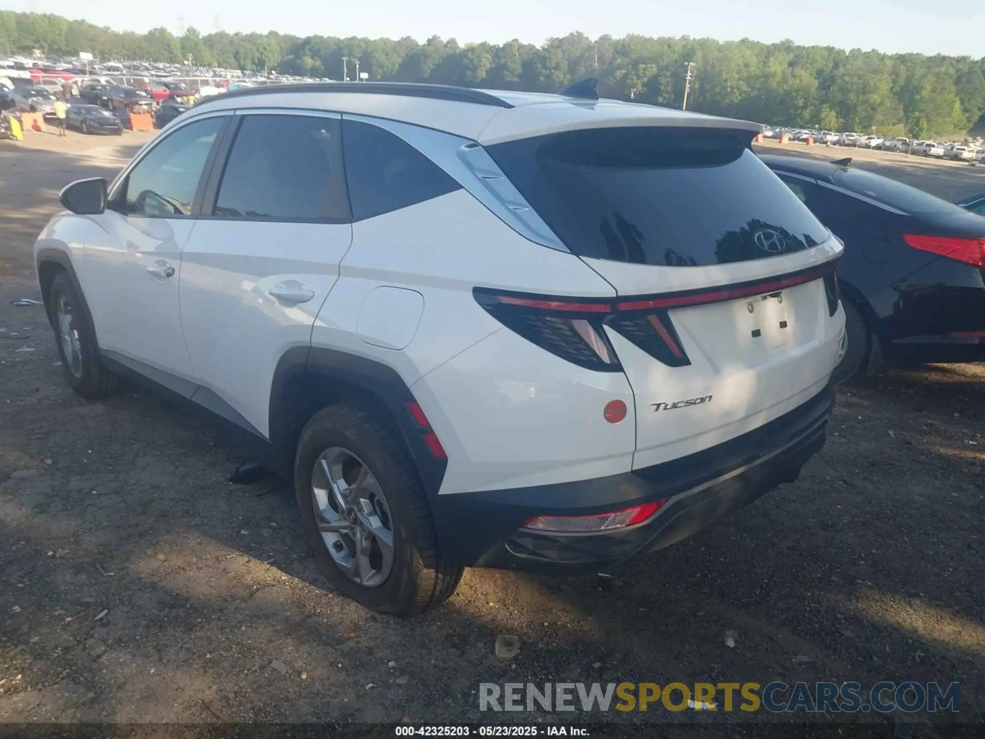 3 fotografías del automóvil dañado 5NMJBCAE8PH262255 HYUNDAI TUCSON 2023