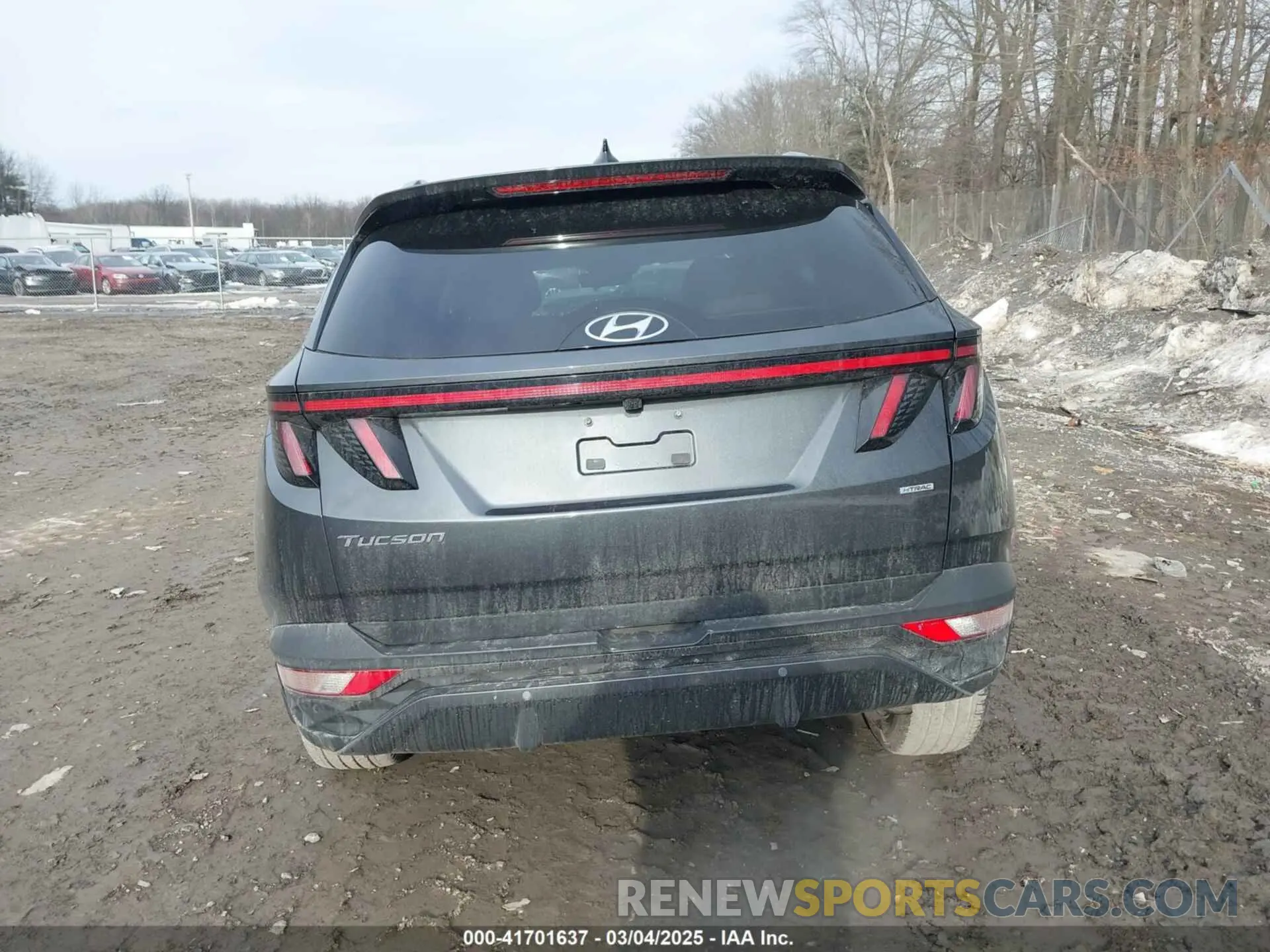 16 fotografías del automóvil dañado 5NMJECAE2PH280709 HYUNDAI TUCSON 2023