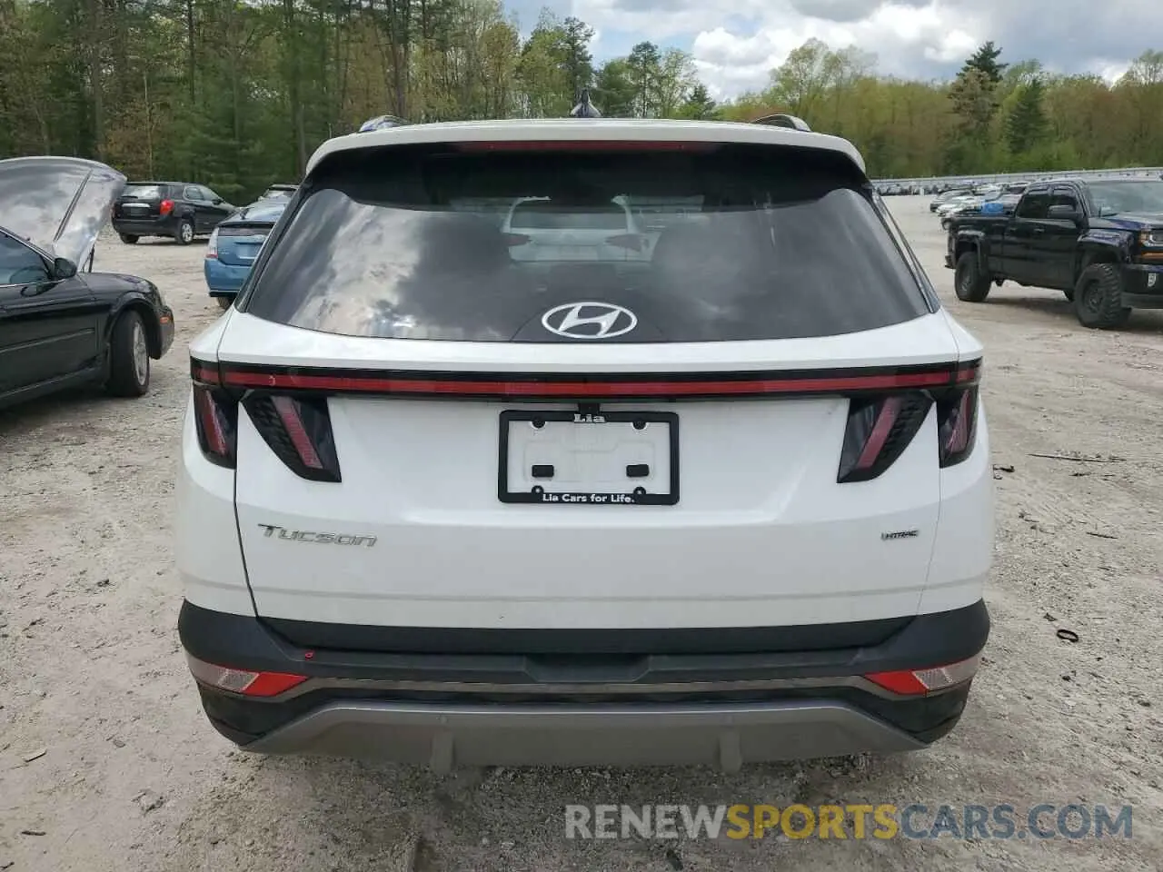 6 fotografías del automóvil dañado 5NMJECAE6PH249379 HYUNDAI TUCSON 2023