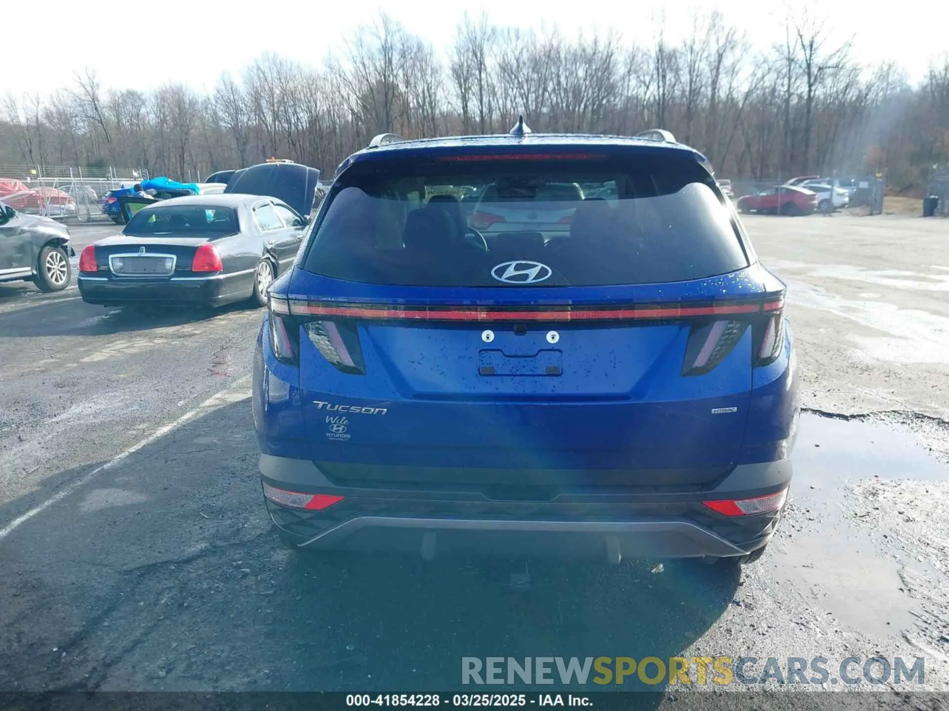 16 fotografías del automóvil dañado 5NMJECAE9PH166349 HYUNDAI TUCSON 2023
