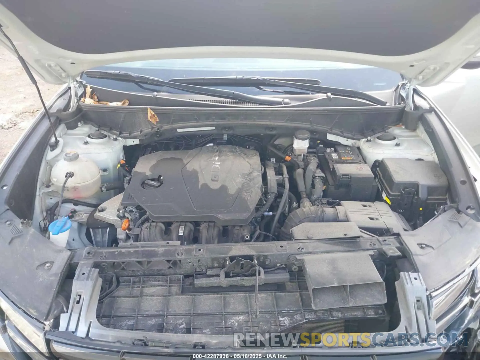 10 fotografías del automóvil dañado KM8JB3AE7PU197967 HYUNDAI TUCSON 2023
