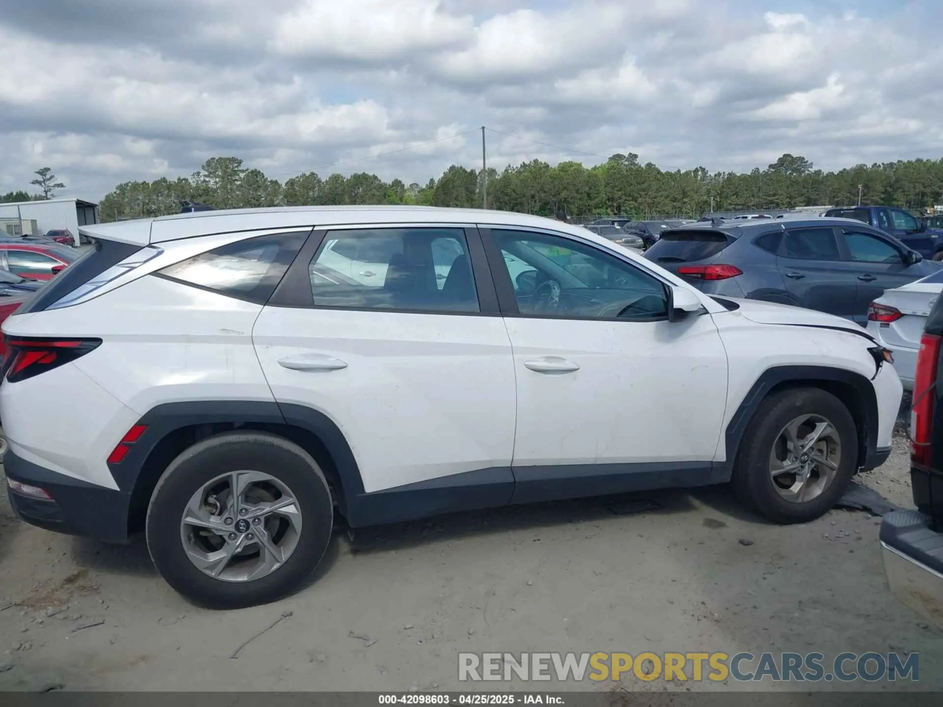 14 fotografías del automóvil dañado 5NMJA3DE3RH434368 HYUNDAI TUCSON 2024
