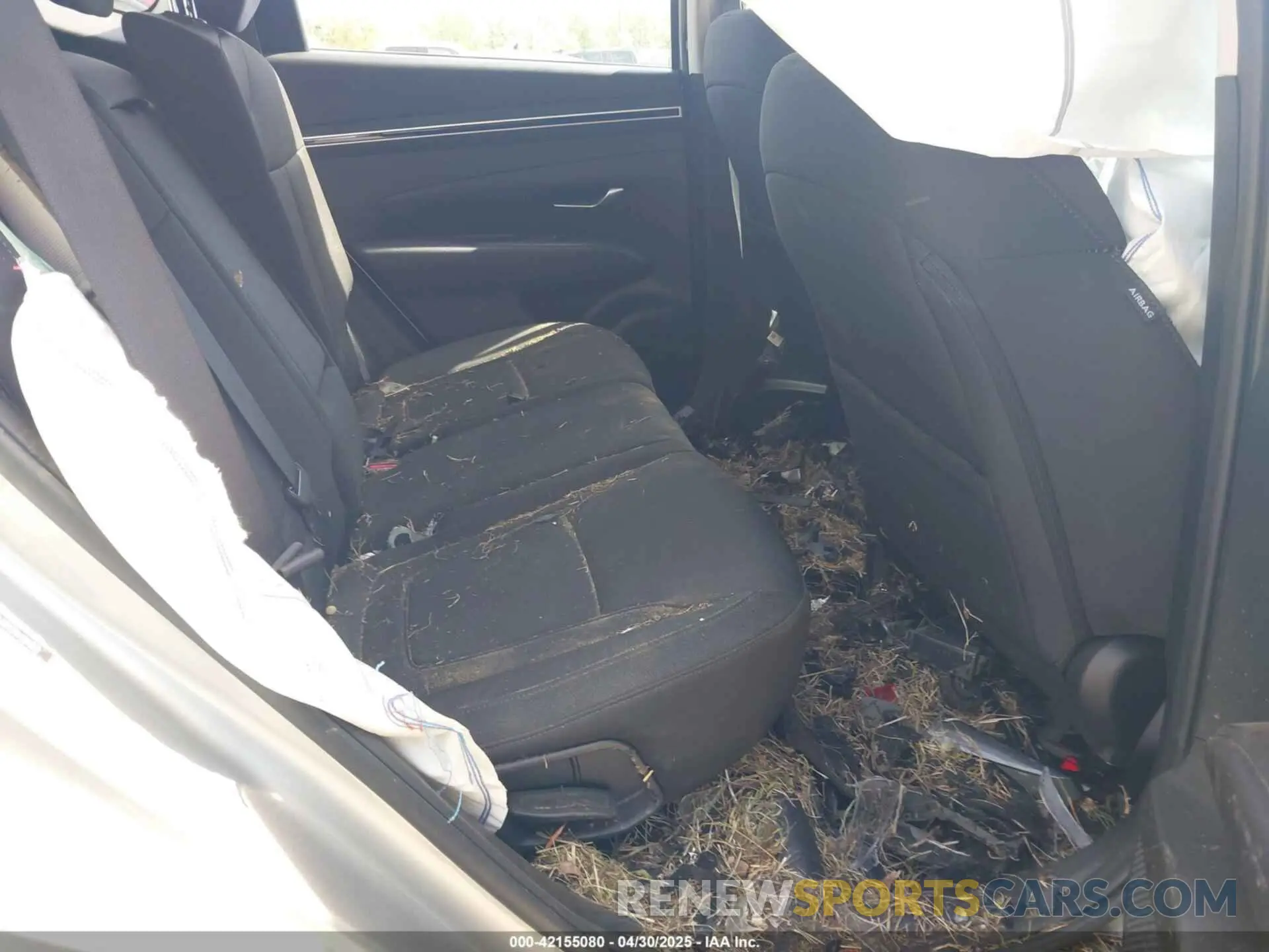 8 fotografías del automóvil dañado 5NMJA3DE7RH325329 HYUNDAI TUCSON 2024