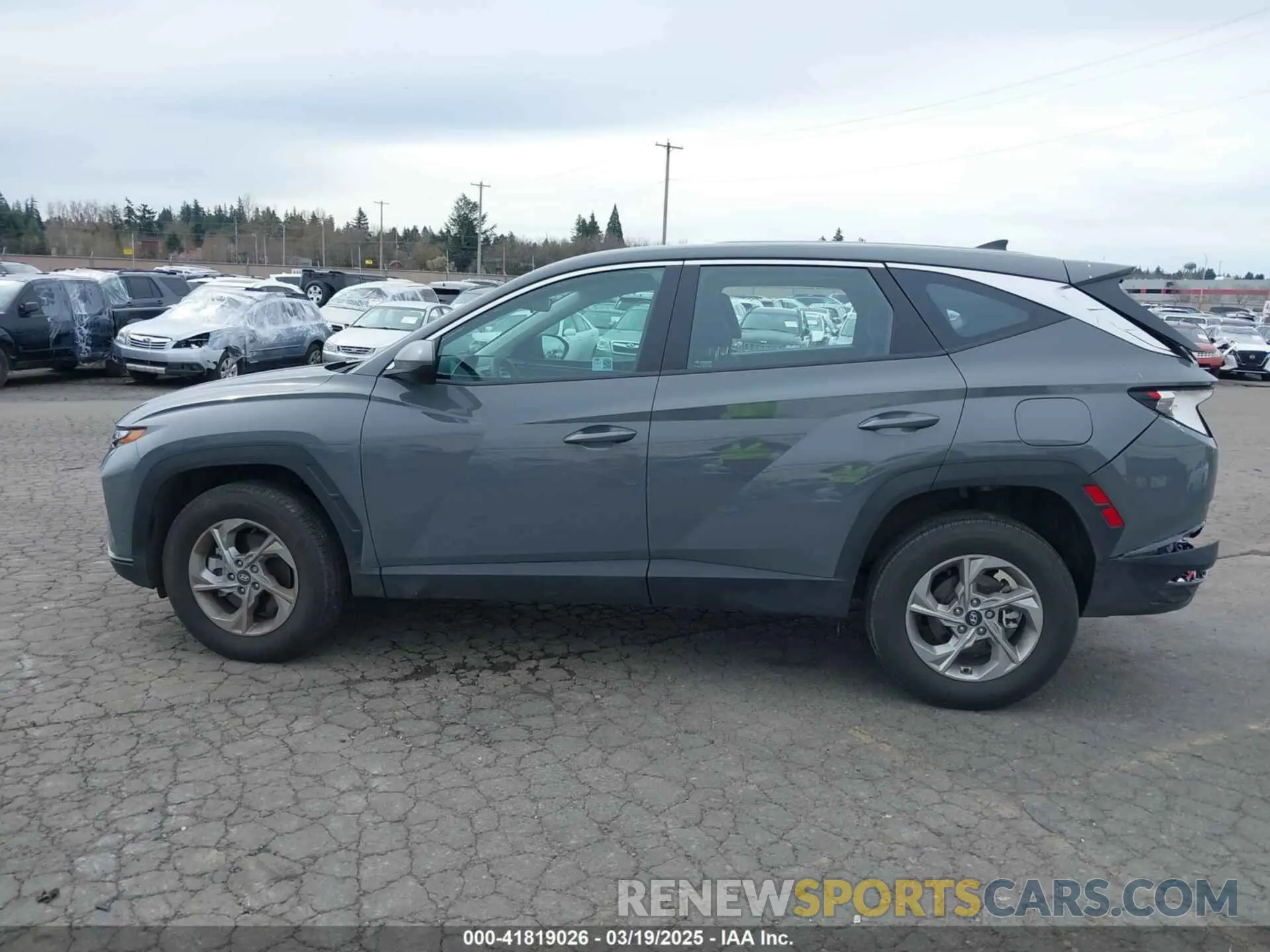 14 fotografías del automóvil dañado 5NMJACDE4RH400357 HYUNDAI TUCSON 2024