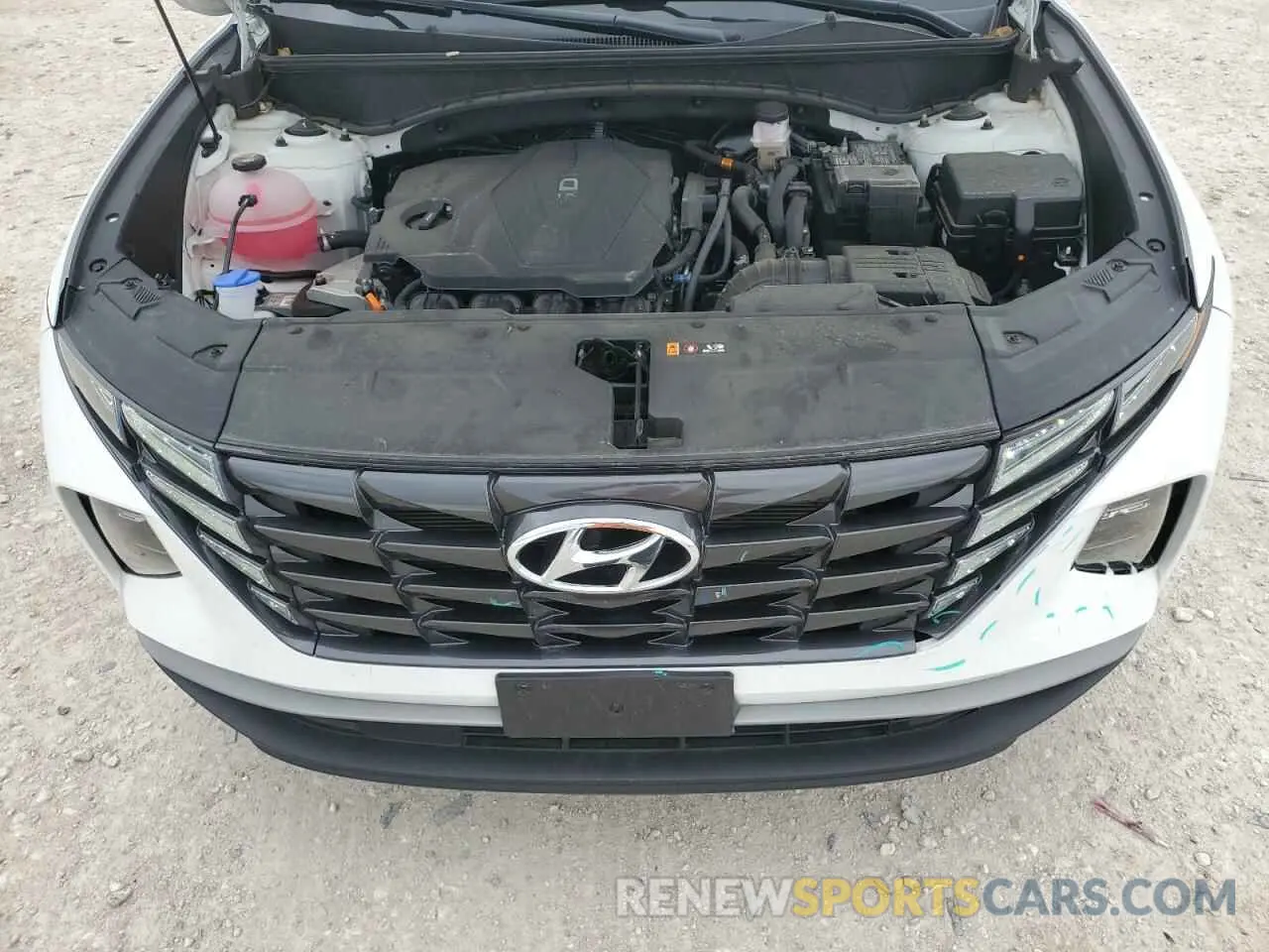 12 fotografías del automóvil dañado 5NMJB3DE3RH395780 HYUNDAI TUCSON 2024